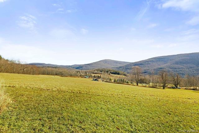 130 Hanley Road Out of NYC Fleischmanns, NY 12430