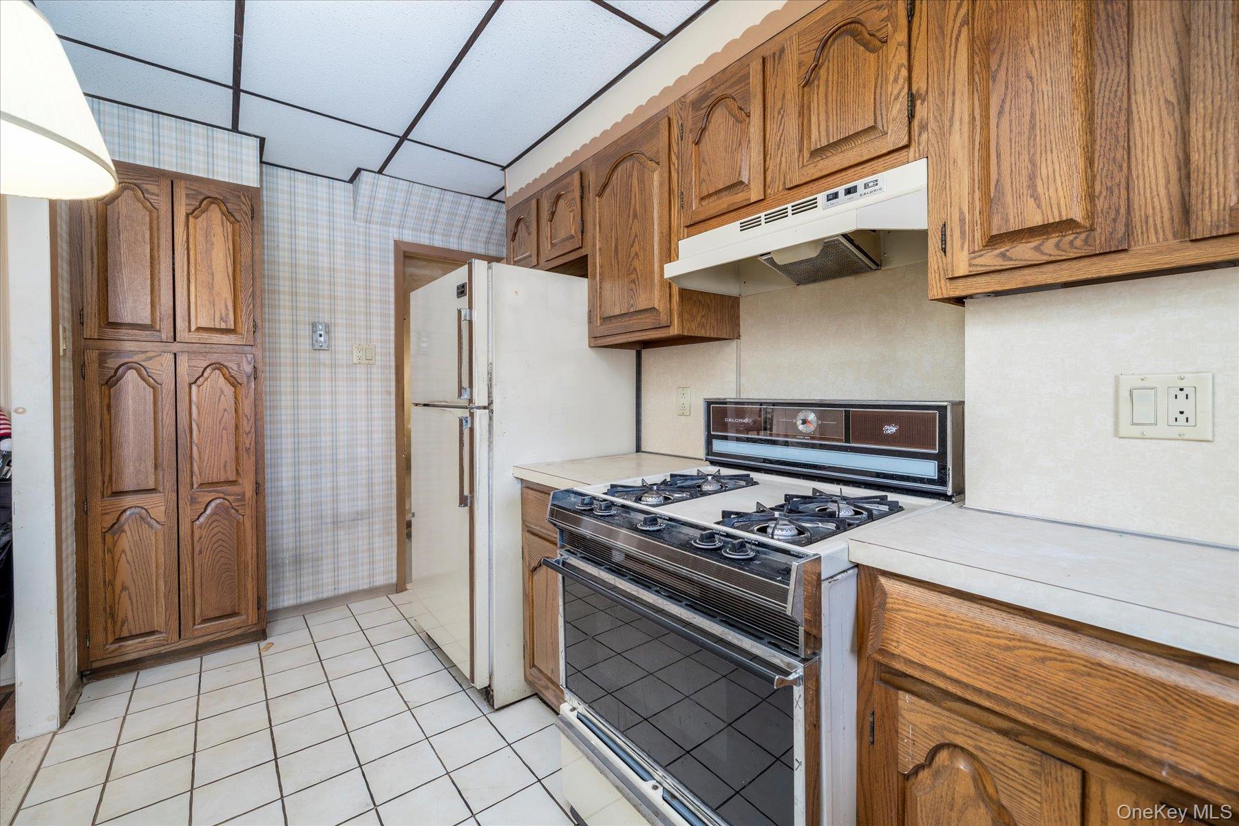 53-54 66th Street Maspeth Maspeth, NY 11378