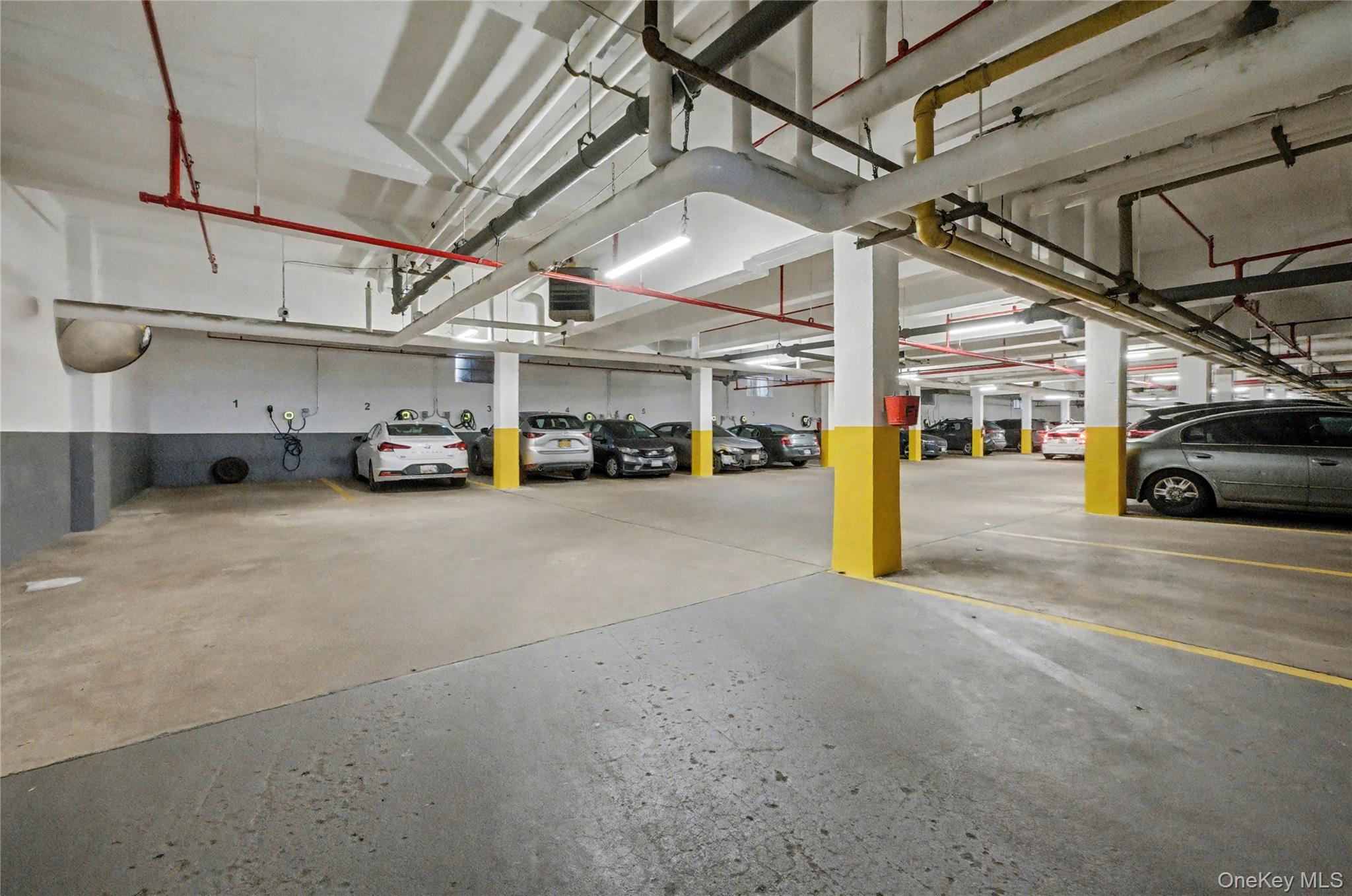 800 Ocean Parkway 3-K Brooklyn, NY 11230