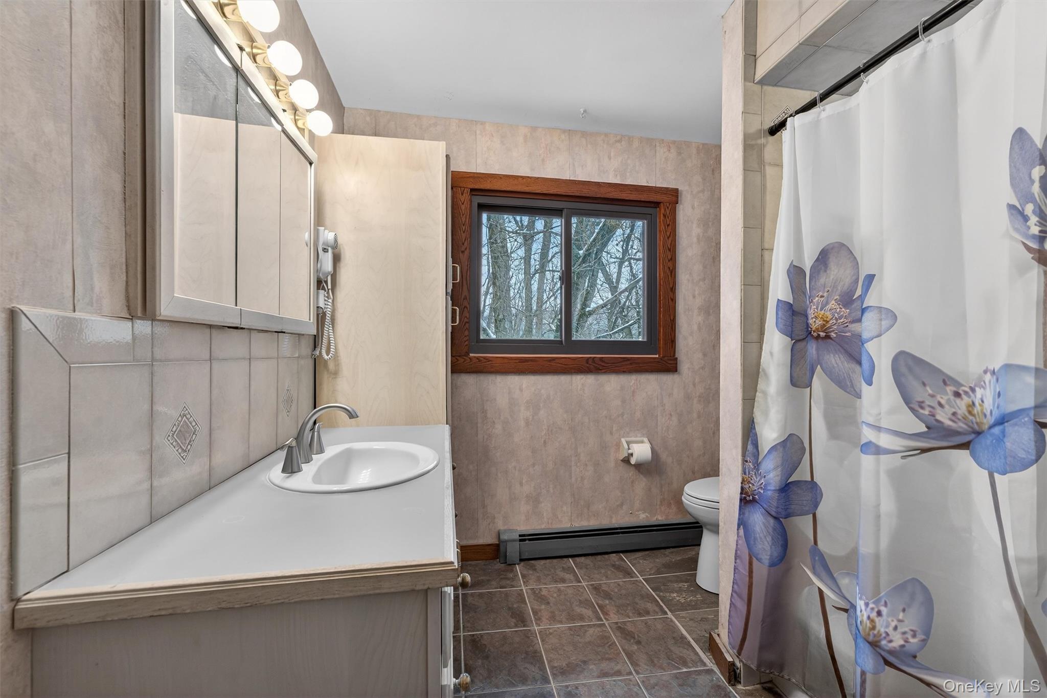 9 Kings Point Lane Out of NYC Washingtonville, NY 10992