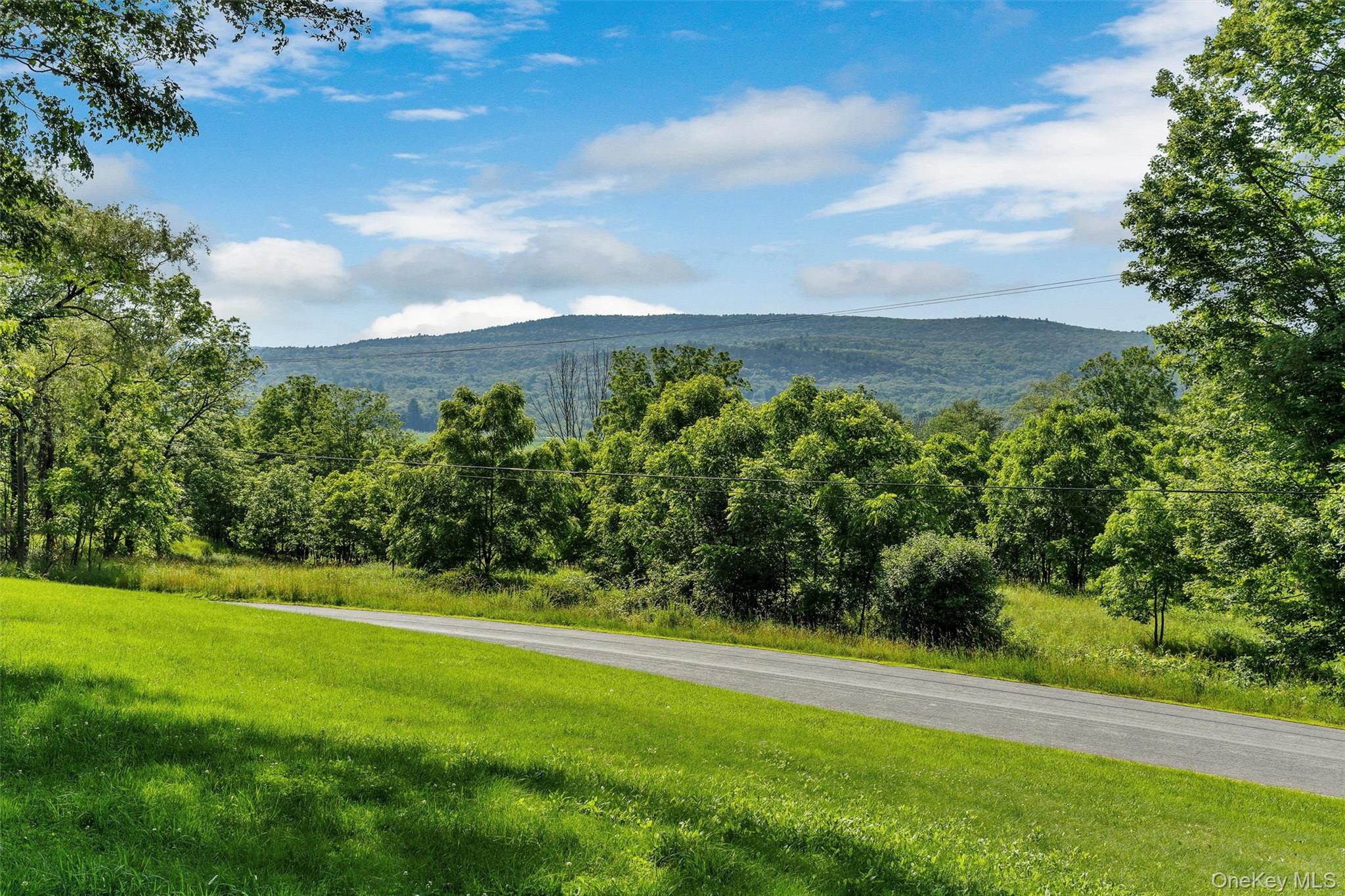 1051 South Road Out of NYC Wurtsboro, NY 12790