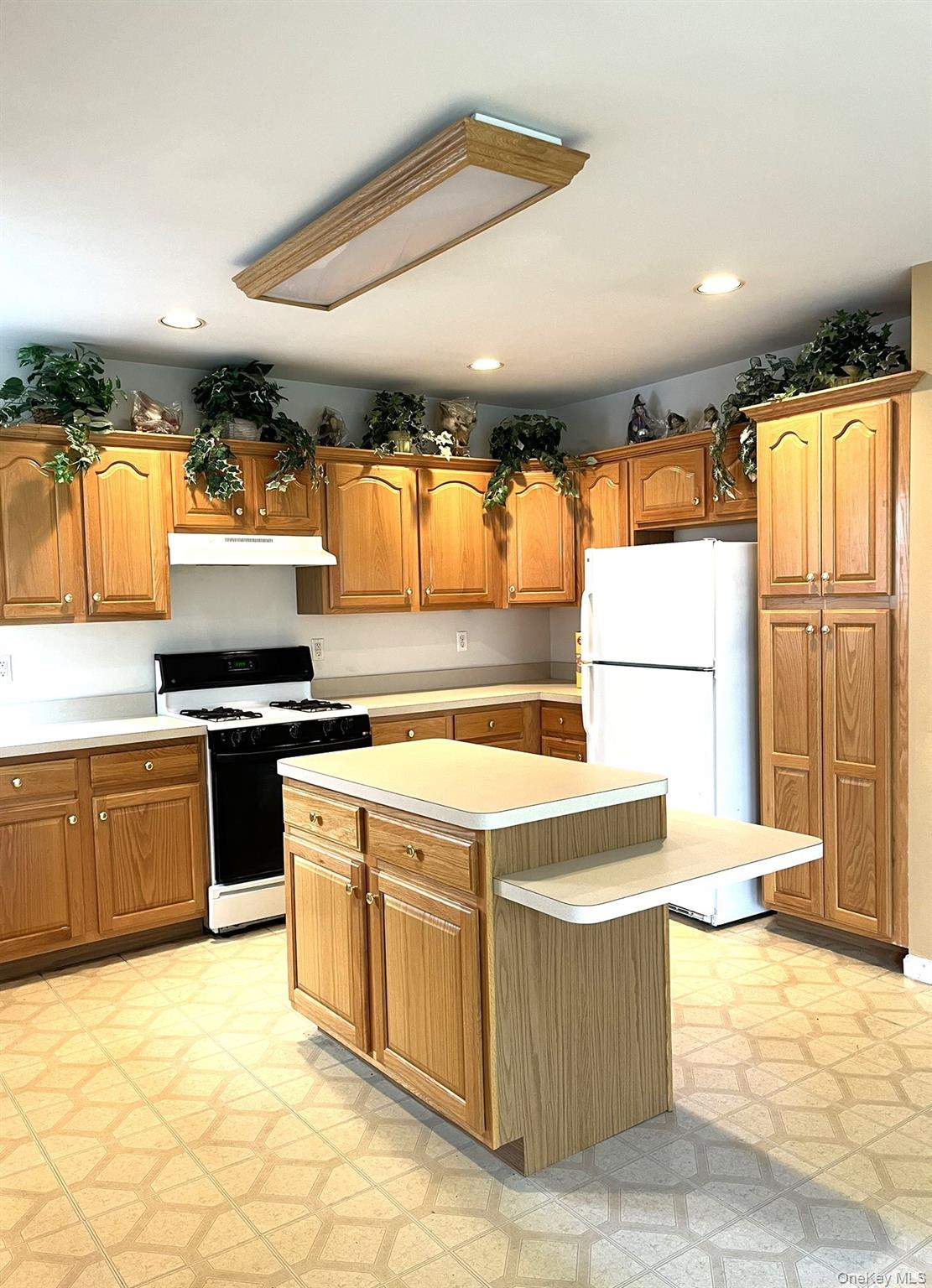 12 Sophia Drive Middle Island Middle Island, NY 11953