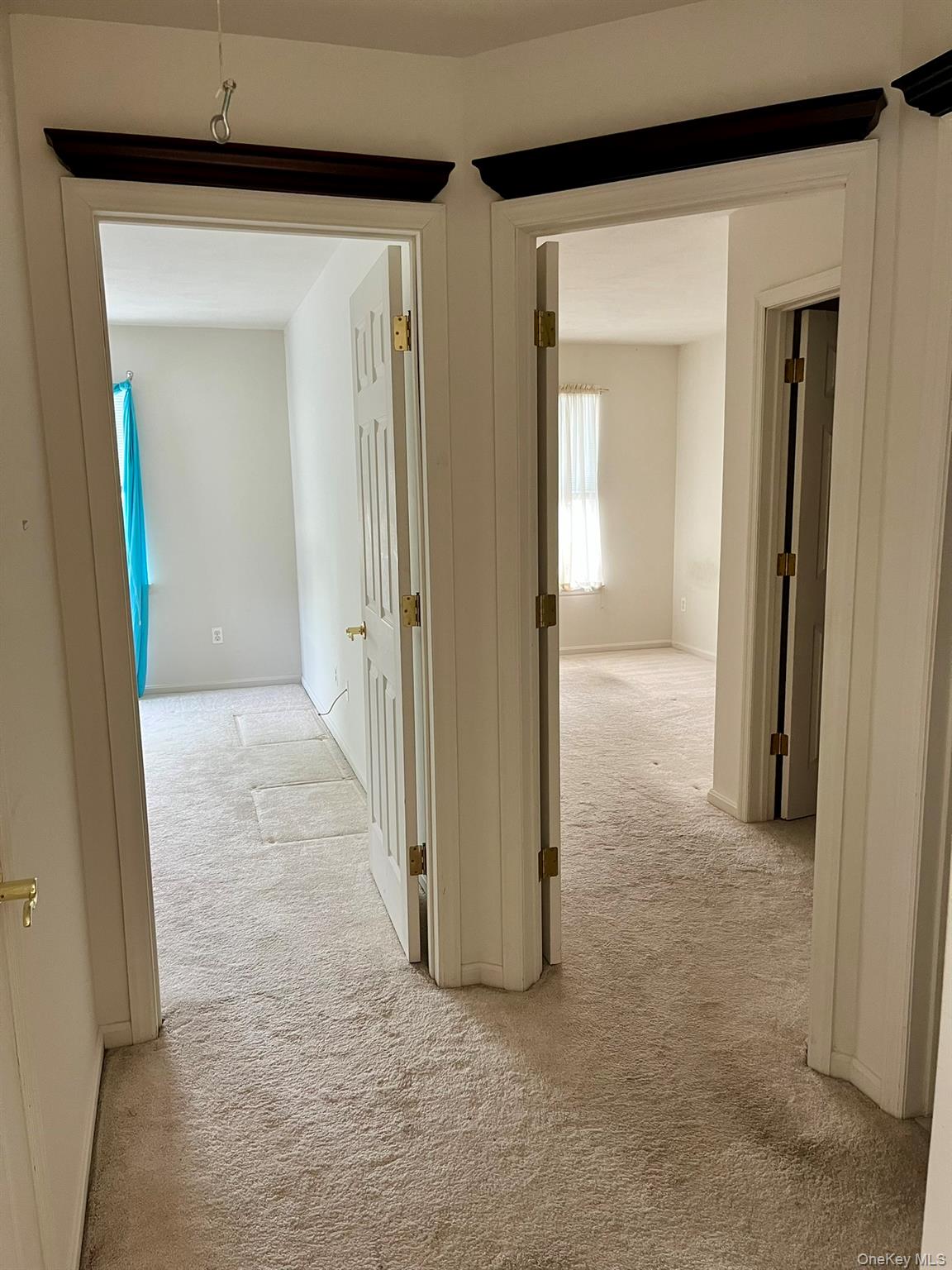 12 Sophia Drive Middle Island Middle Island, NY 11953