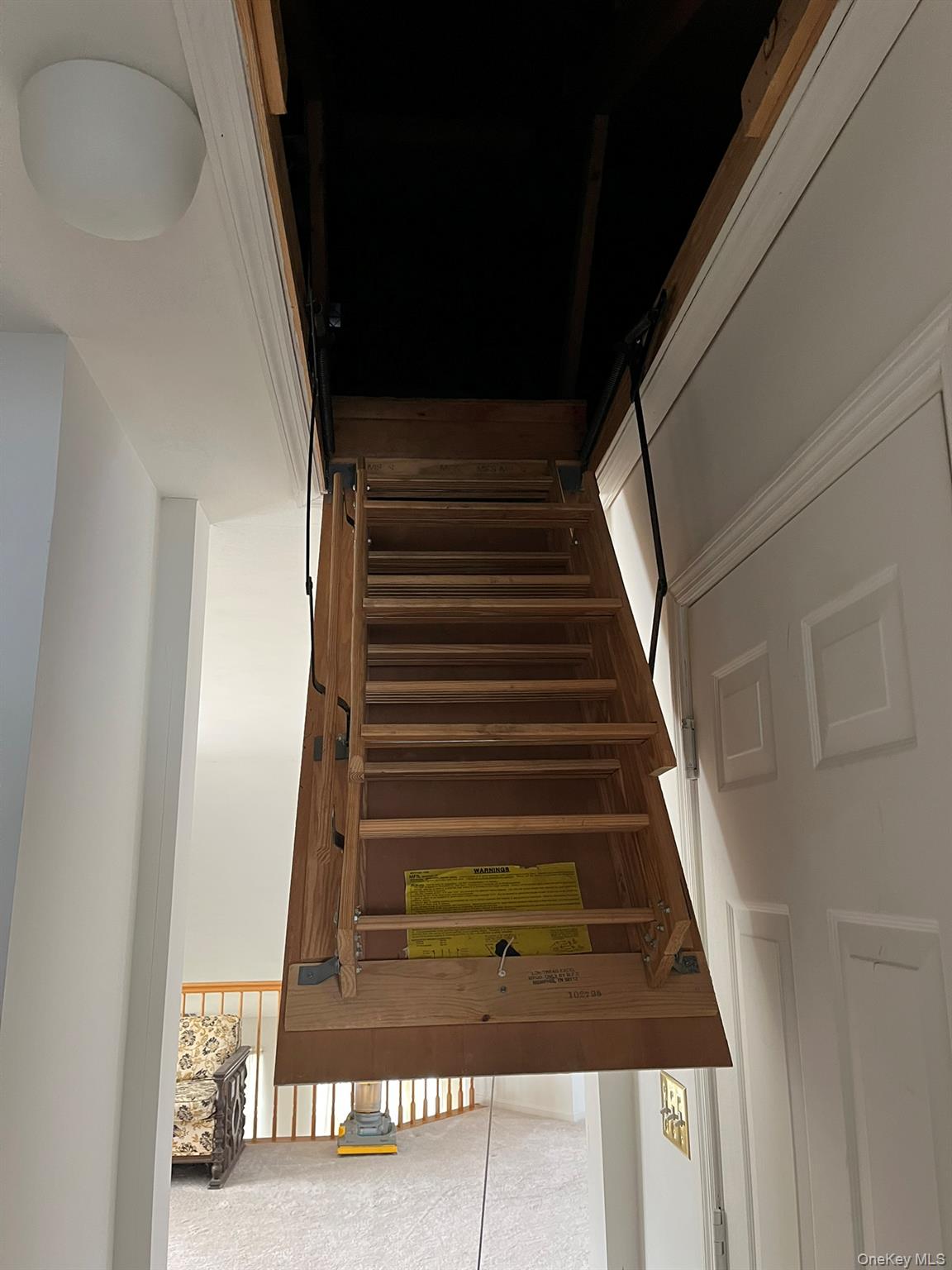 12 Sophia Drive Middle Island Middle Island, NY 11953