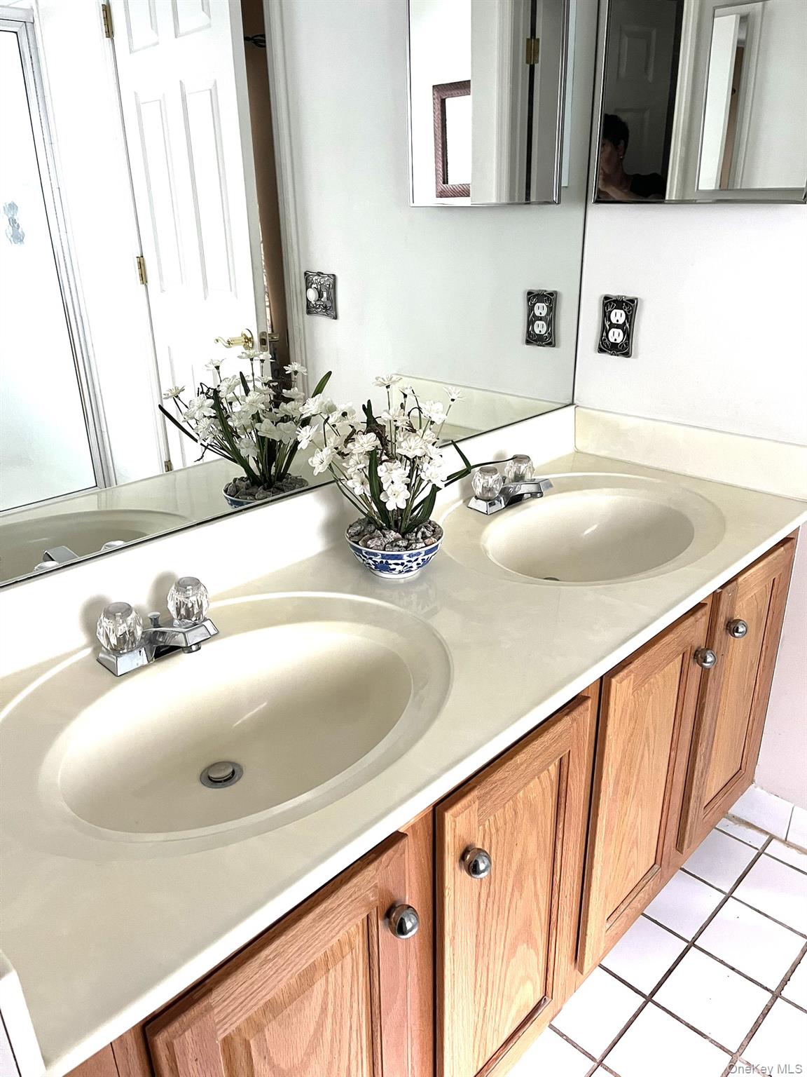 12 Sophia Drive Middle Island Middle Island, NY 11953