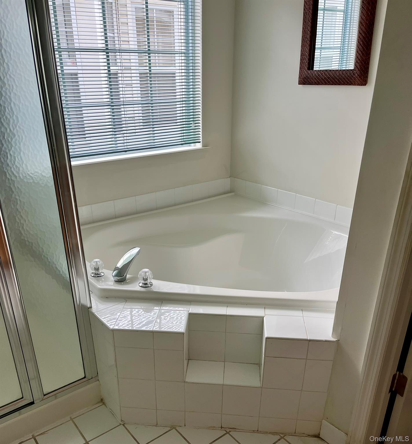 12 Sophia Drive Middle Island Middle Island, NY 11953