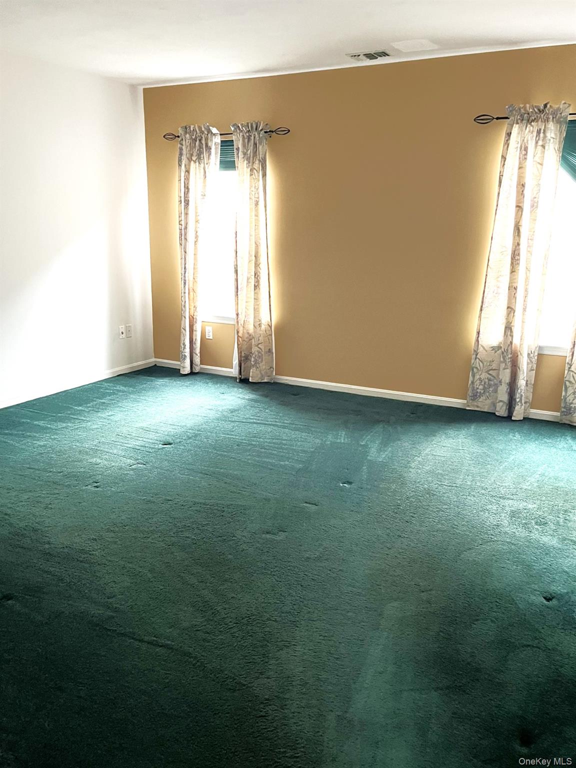 12 Sophia Drive Middle Island Middle Island, NY 11953