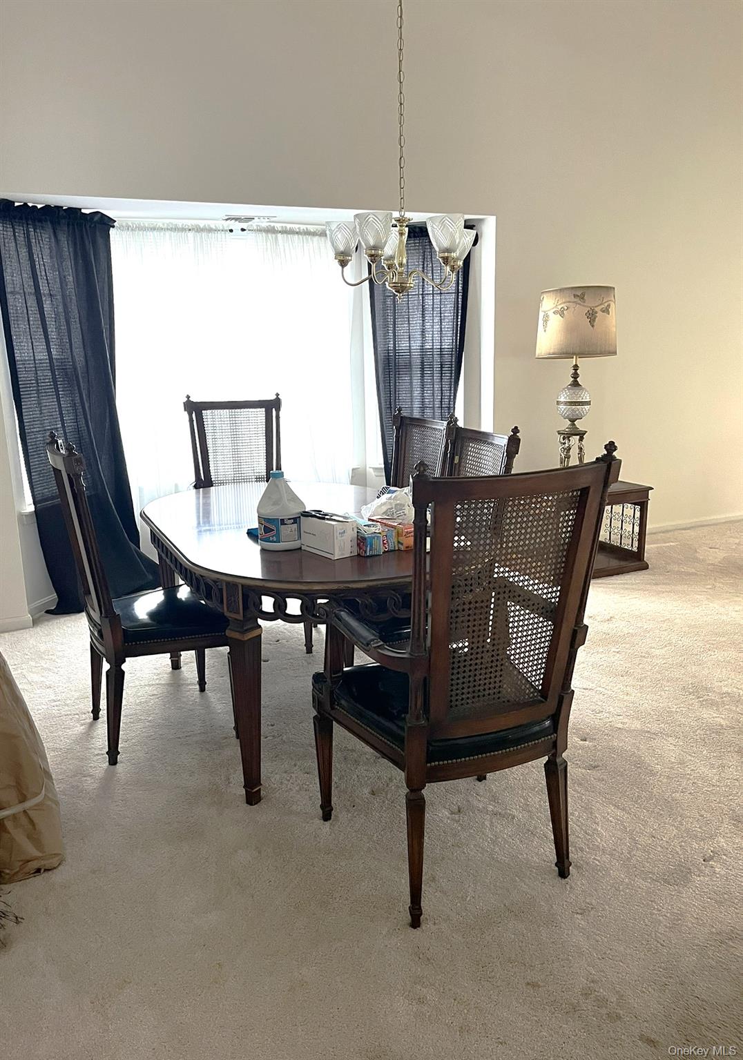 12 Sophia Drive Middle Island Middle Island, NY 11953