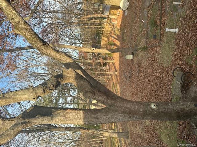 147 Pauls Path Coram Coram, NY 11727