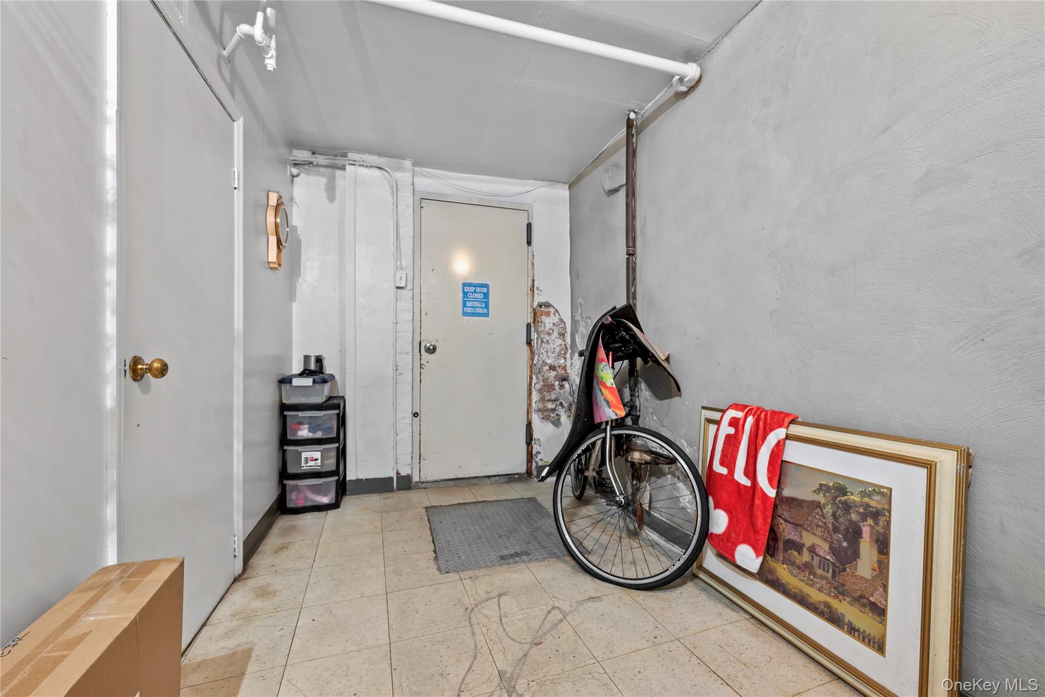 341 Weirfield Street Brooklyn, NY 11237