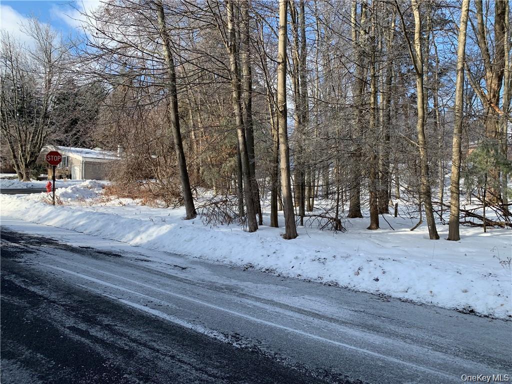 Floral Drive Out of NYC Monticello, NY 12701