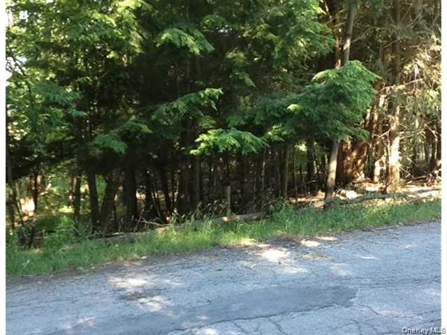 Floral Drive Out of NYC Monticello, NY 12701