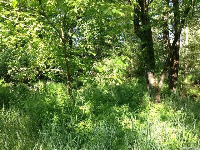 Floral Drive Out of NYC Monticello, NY 12701