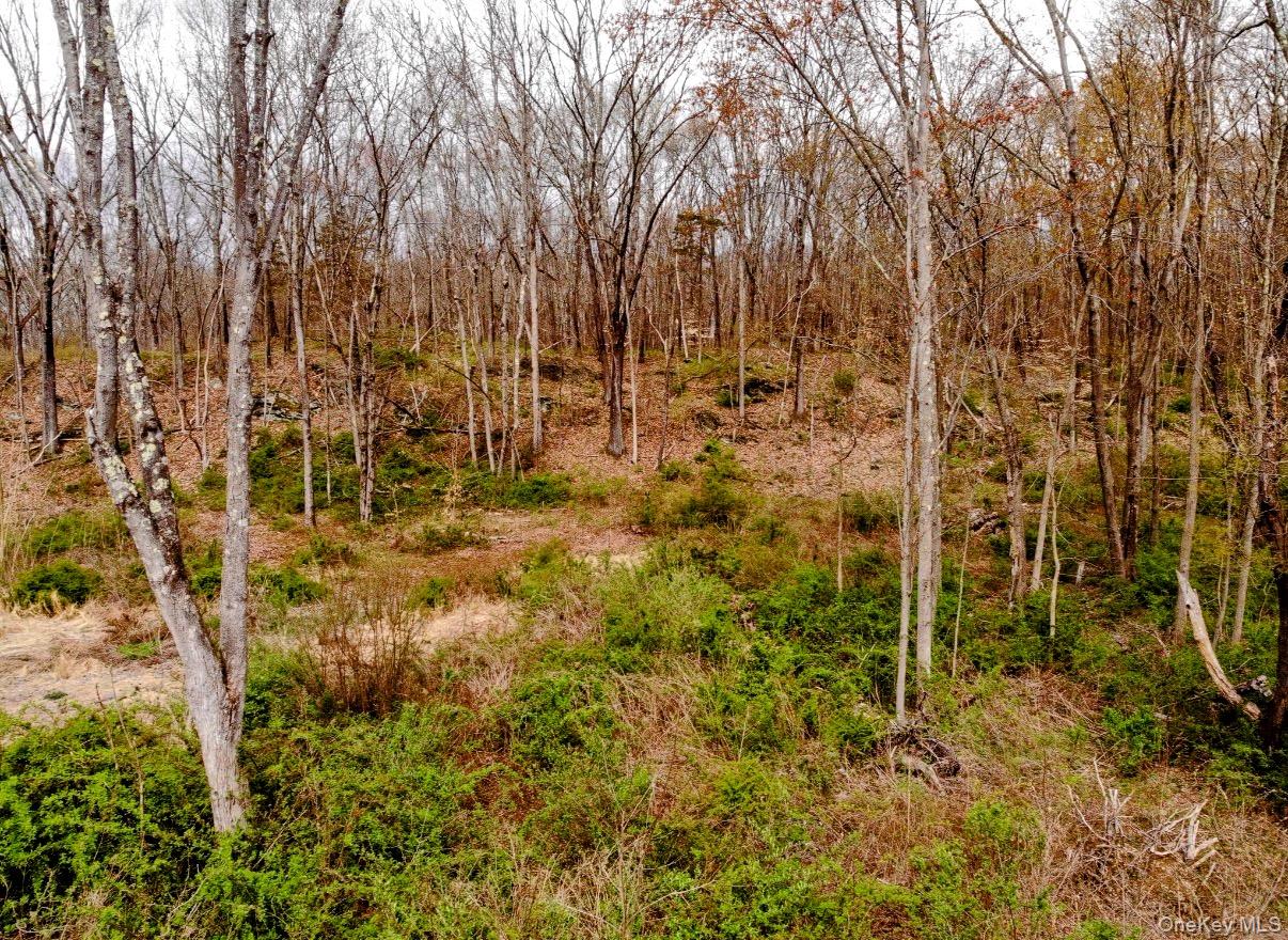 Wappinger Farm Estates, Lot 10, Robinson Lane Out of NYC Wappingers Falls, NY 12590