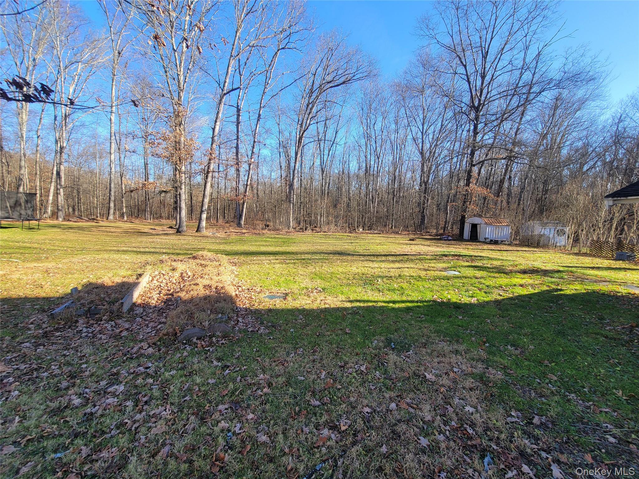 351 Lake Shore Drive Out of NYC Pine Bush, NY 12566