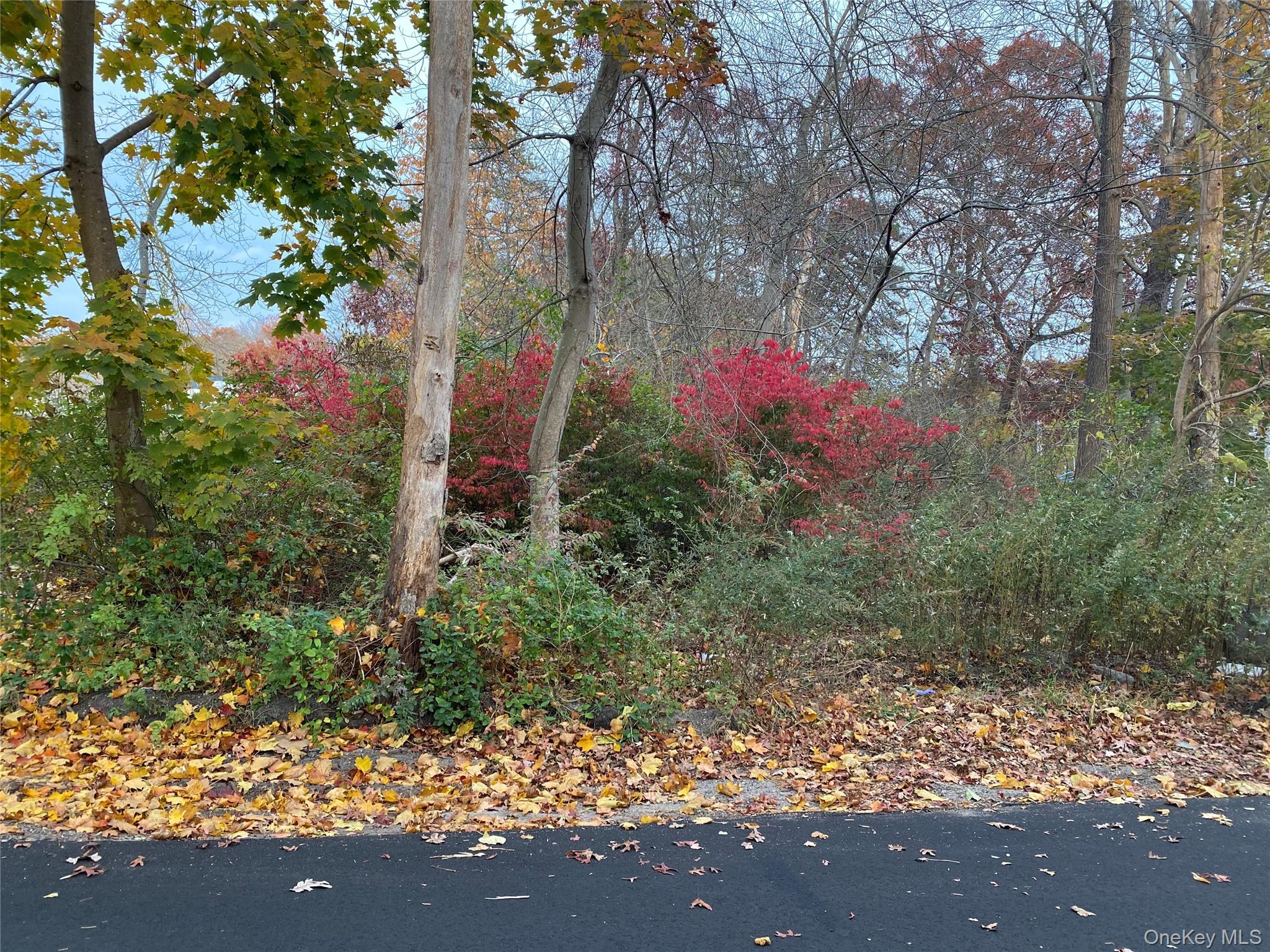 74 Palmetto Drive Shirley Shirley, NY 11967