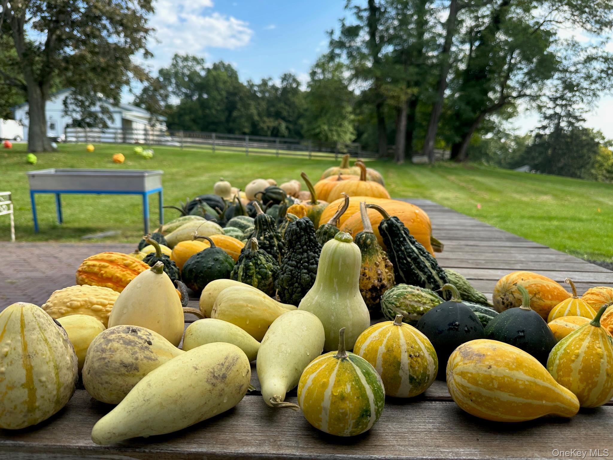 2948 State Route 94 Out of NYC Chester, NY 10918