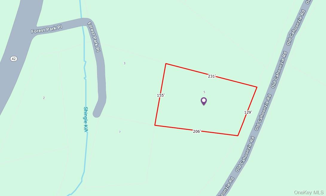 2 Forest Park Place Out of NYC Sparrowbush, NY 12780