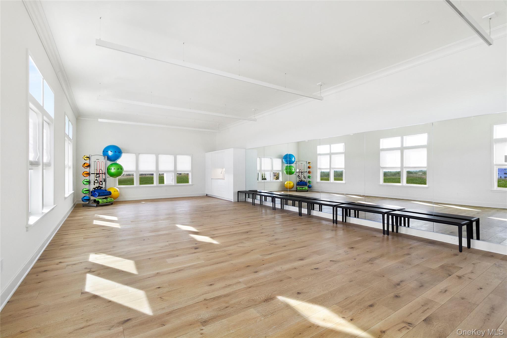 329 Silver Timber Drive 329 Yaphank Yaphank, NY 11980