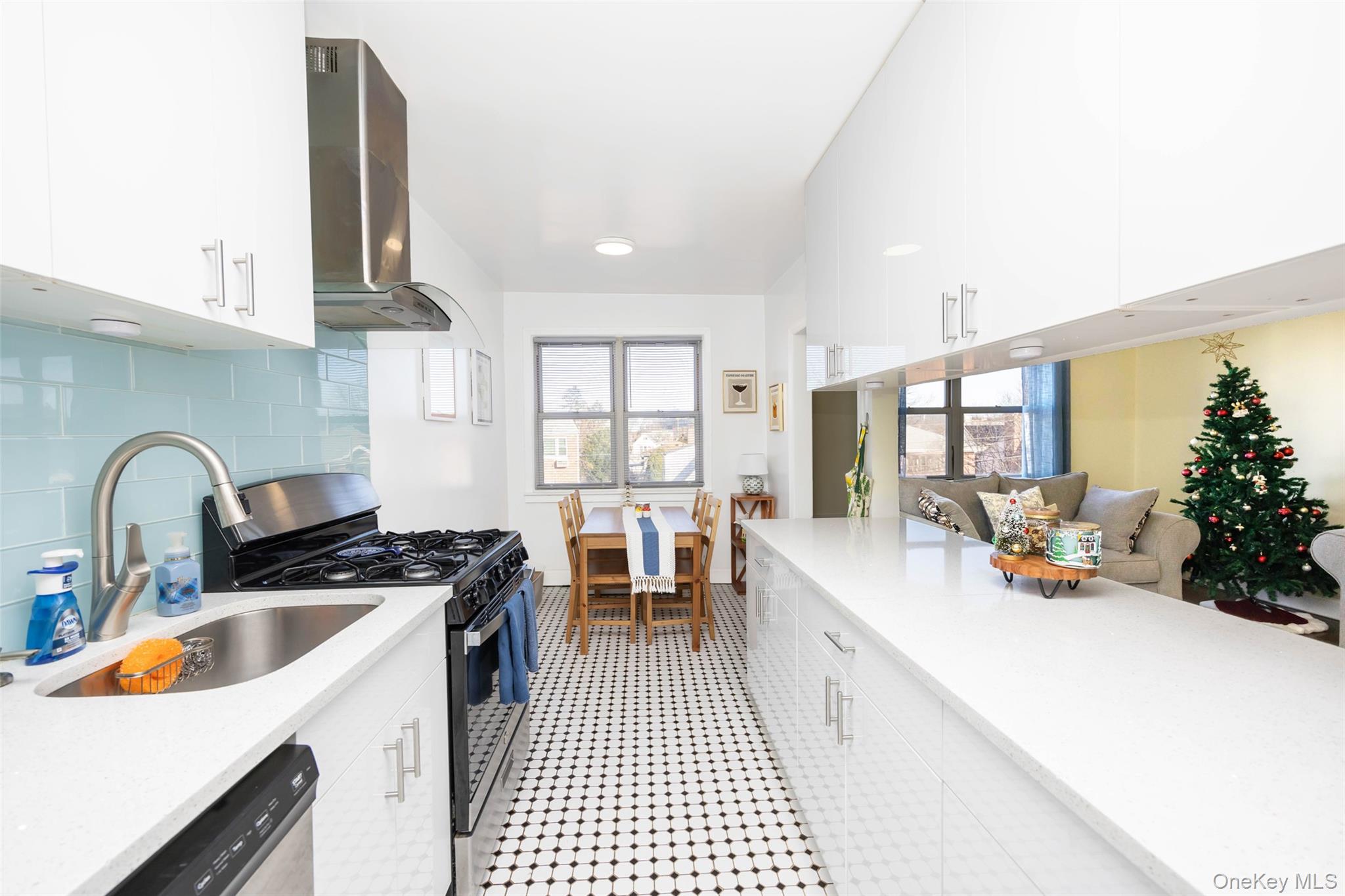8010 165th Street Flushing Flushing, NY 11432