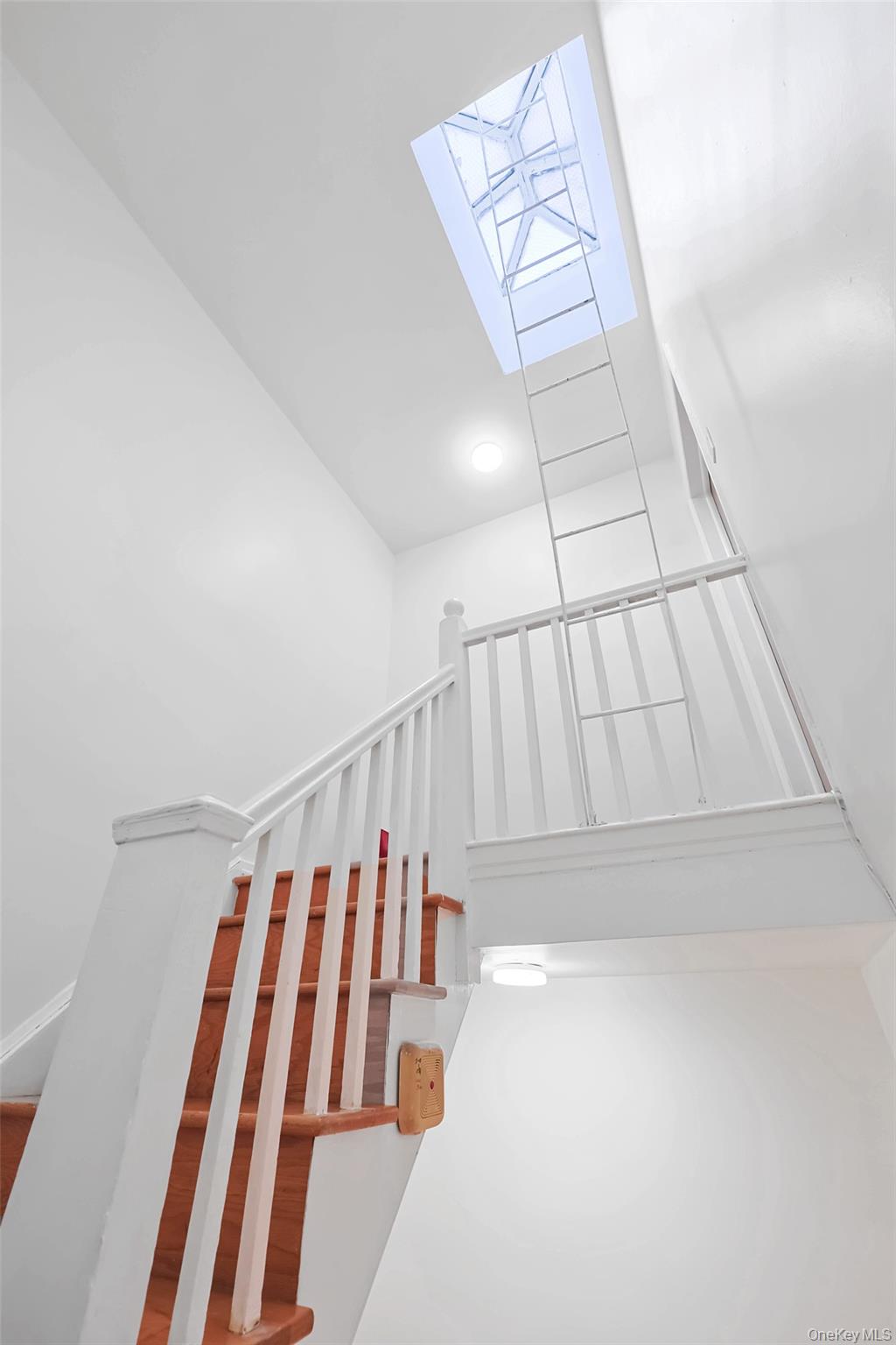 8010 165th Street Flushing Flushing, NY 11432