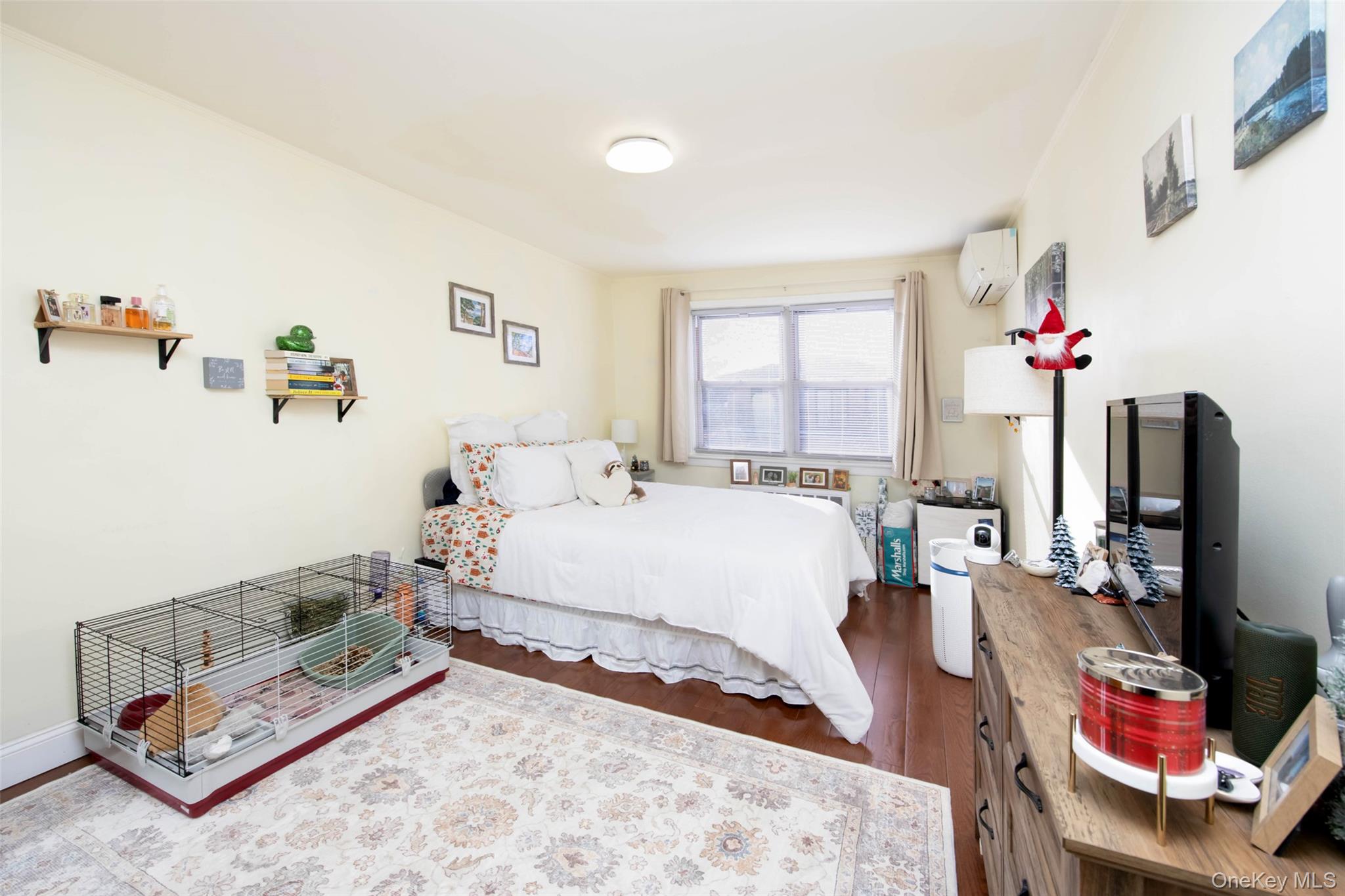 8010 165th Street Flushing Flushing, NY 11432