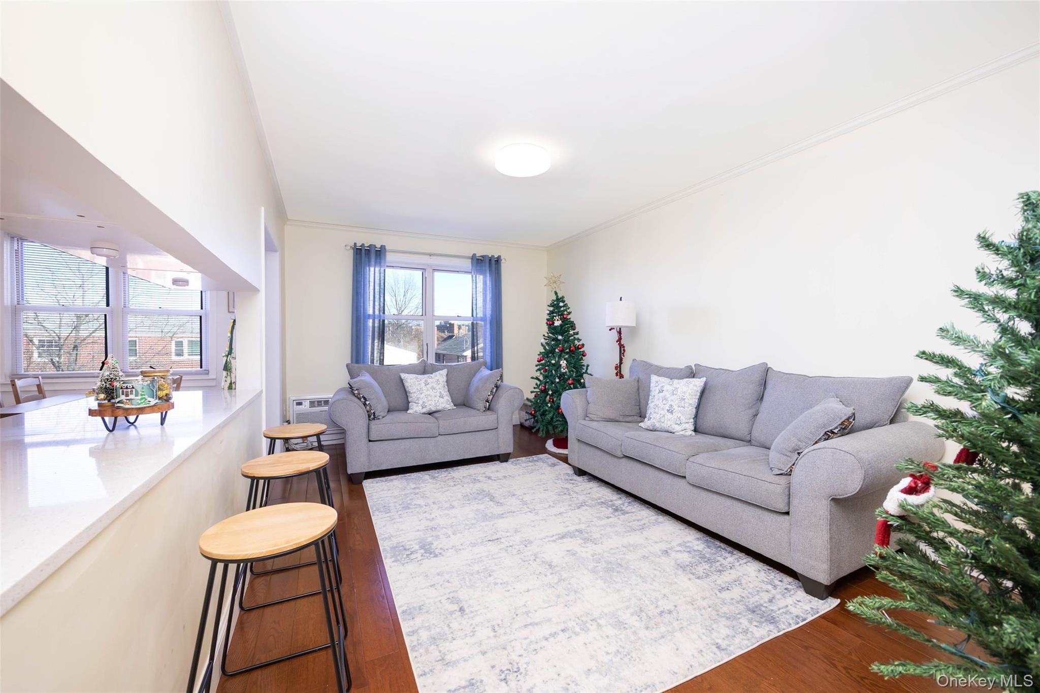 8010 165th Street Flushing Flushing, NY 11432