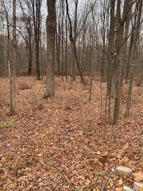Lot #3 S Plank Road Out of NYC Westtown, NY 10998