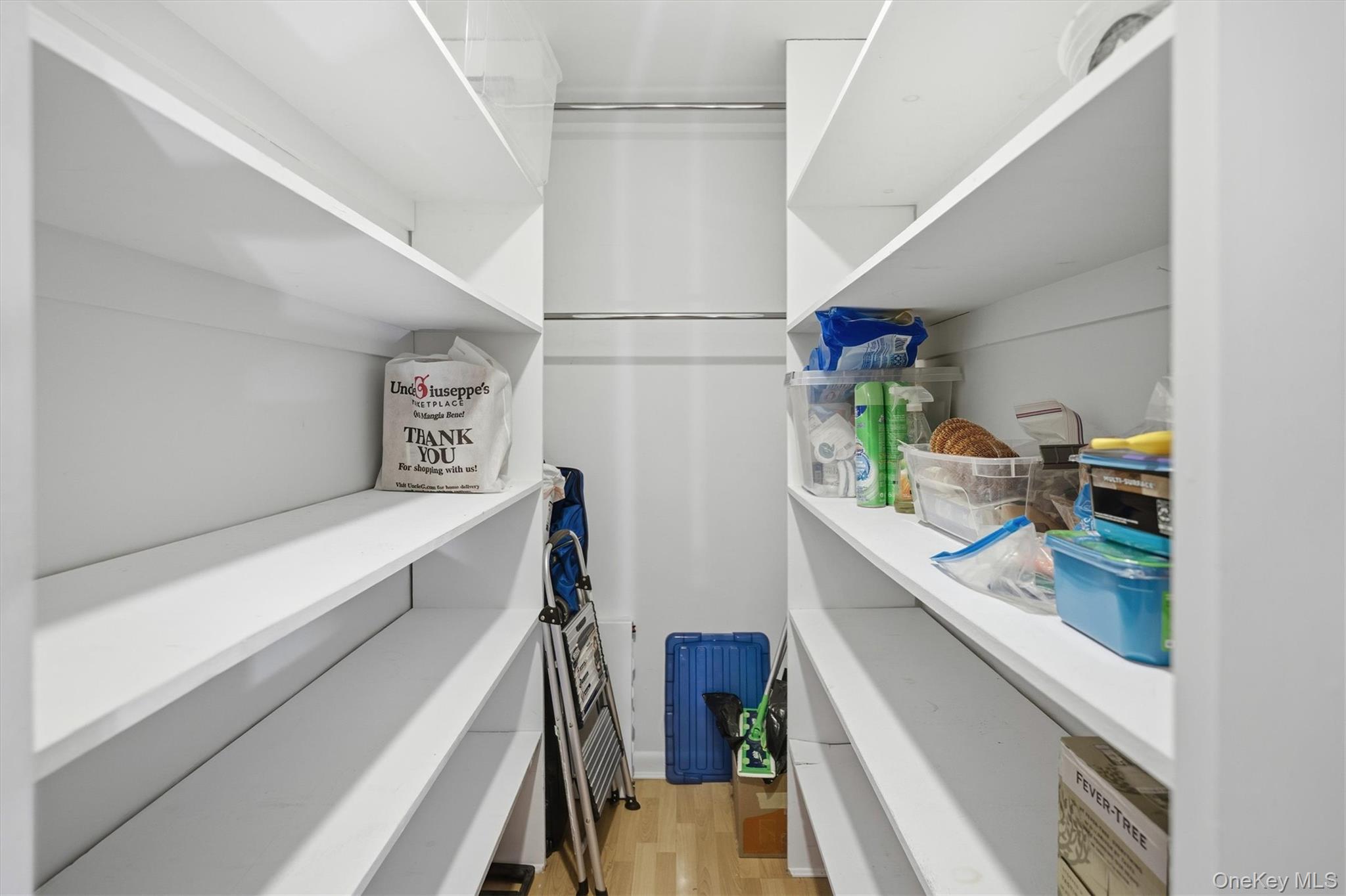 25 Chapel Place 1-B Great Neck Great Neck, NY 11021