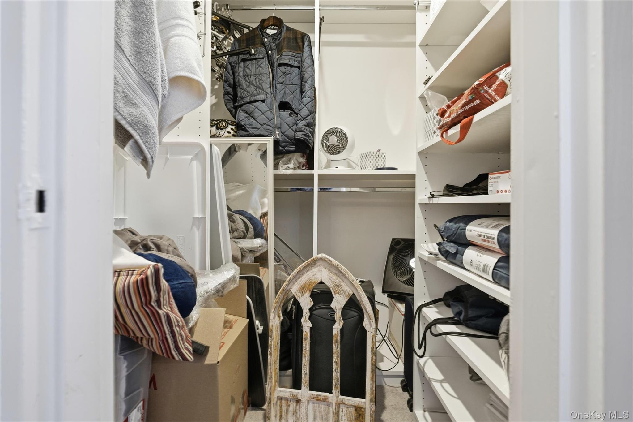 25 Chapel Place 1-B Great Neck Great Neck, NY 11021