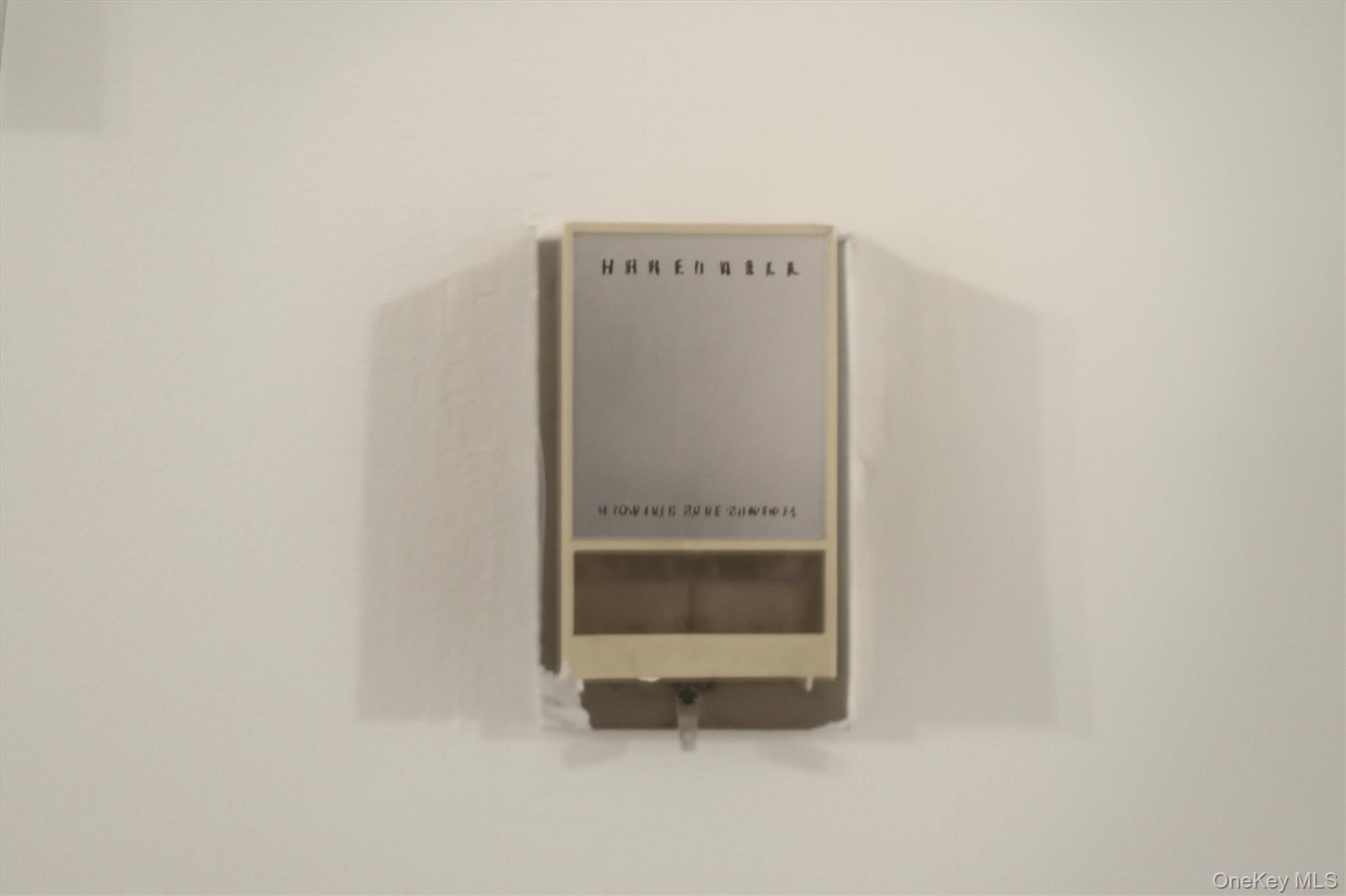 25 Chapel Place 1-B Great Neck Great Neck, NY 11021