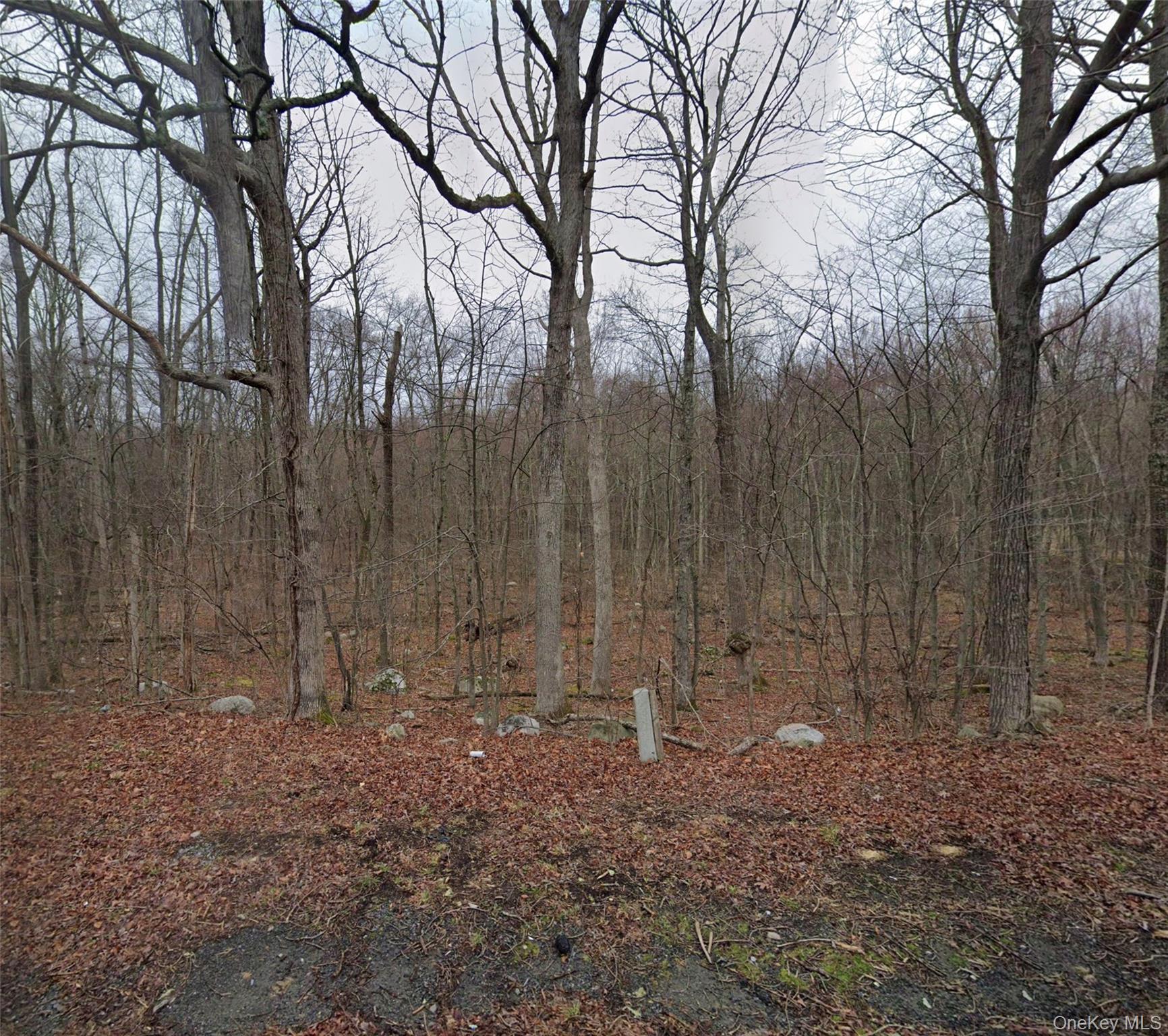 Cr-49 Out of NYC Middletown, NY 10940