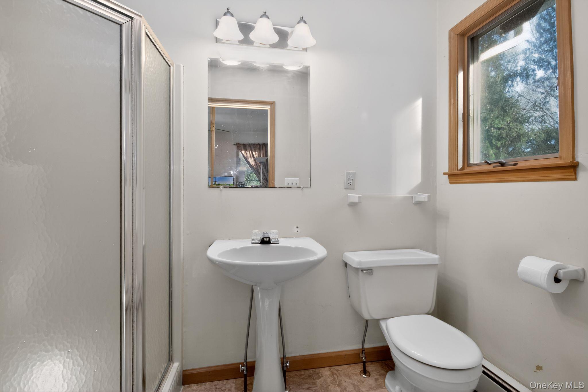 4 Carlyle Road Out of NYC Hyde Park, NY 12538