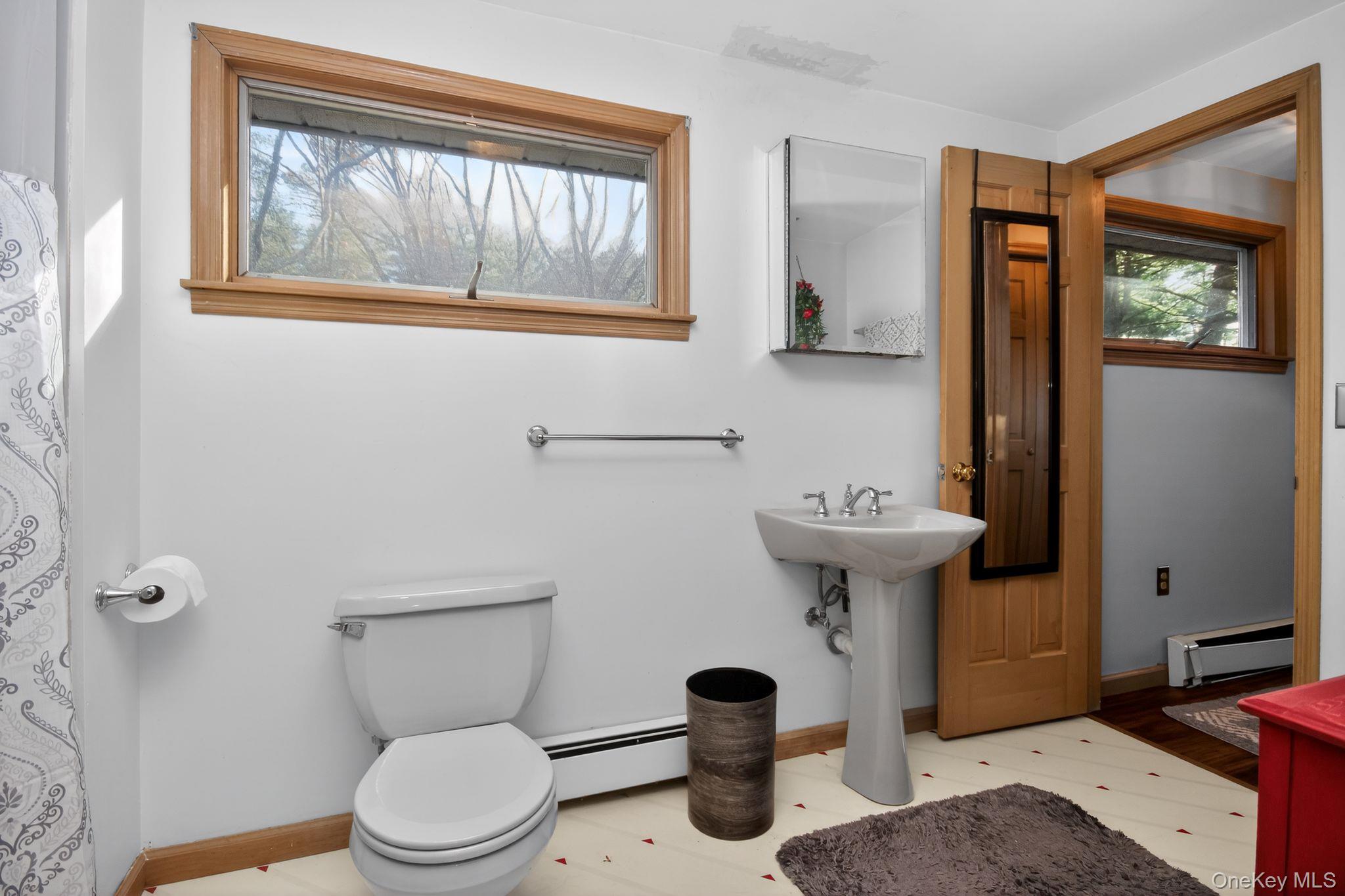 4 Carlyle Road Out of NYC Hyde Park, NY 12538