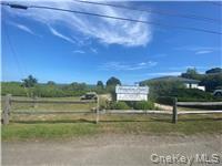 65 Little Pine Lane East Quogue East Quogue, NY 11942