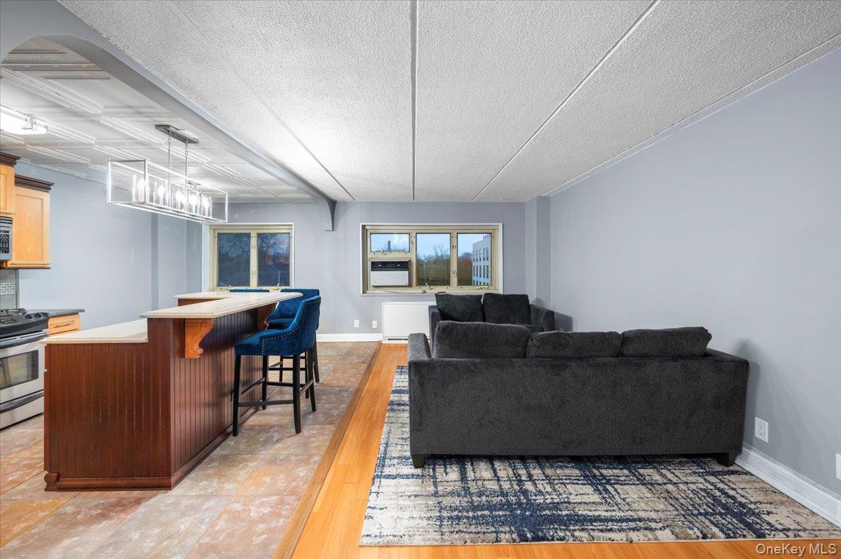 480 Halstead Avenue 5-M Harrison Harrison, NY 10528