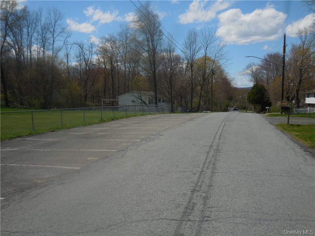 10 Edmunds Lane A Out of NYC Pine Bush, NY 12566