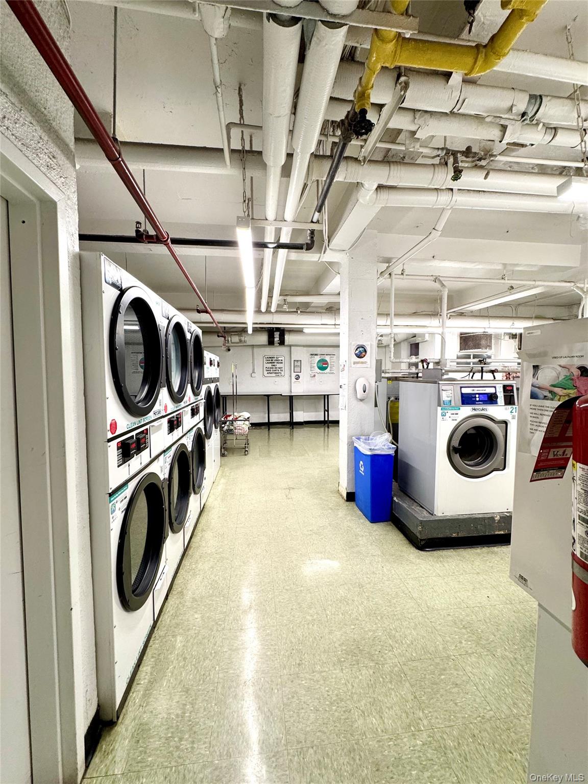 89-15 Parsons Boulevard 9-C Jamaica Jamaica, NY 11432