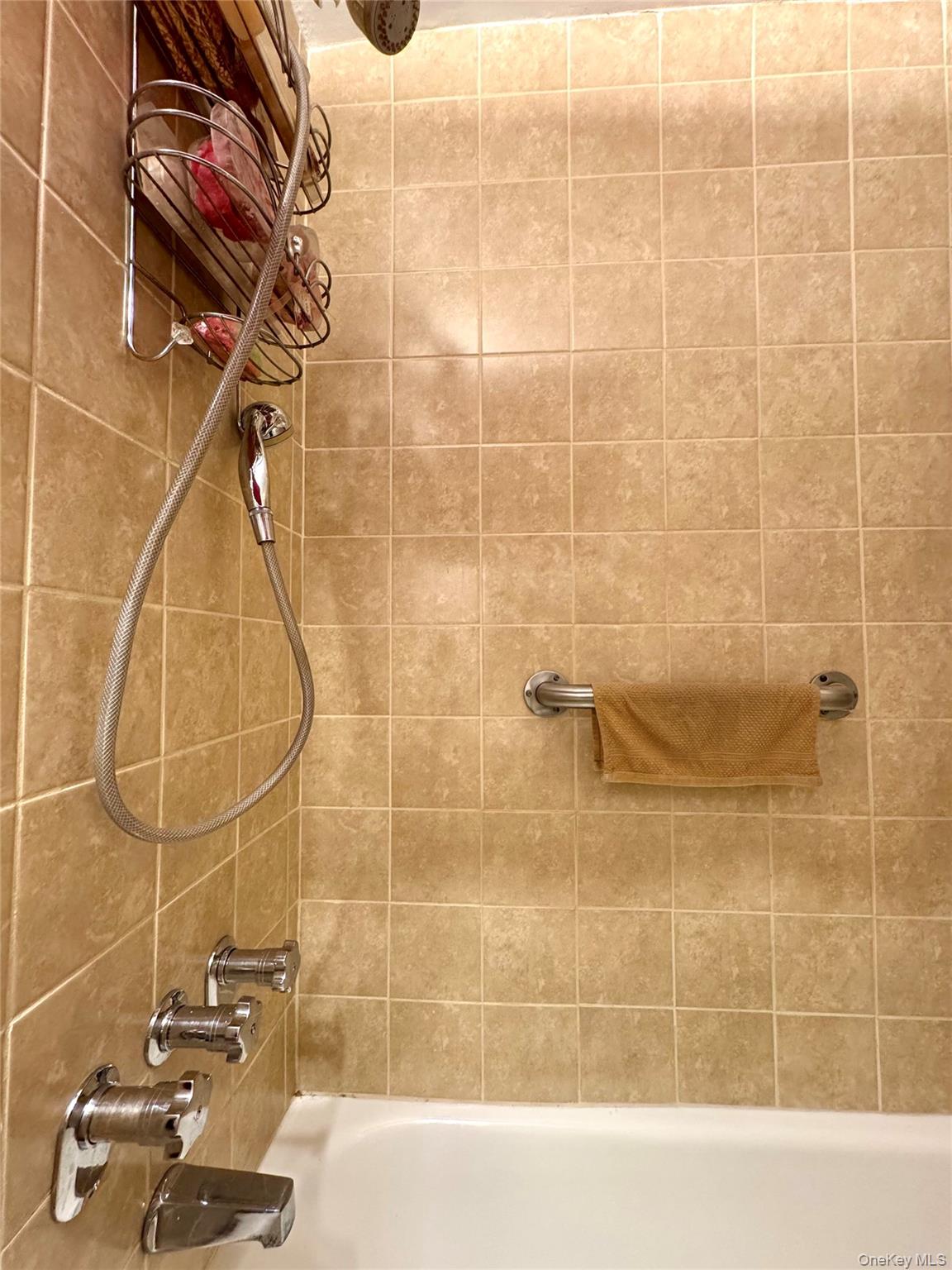 89-15 Parsons Boulevard 9-C Jamaica Jamaica, NY 11432