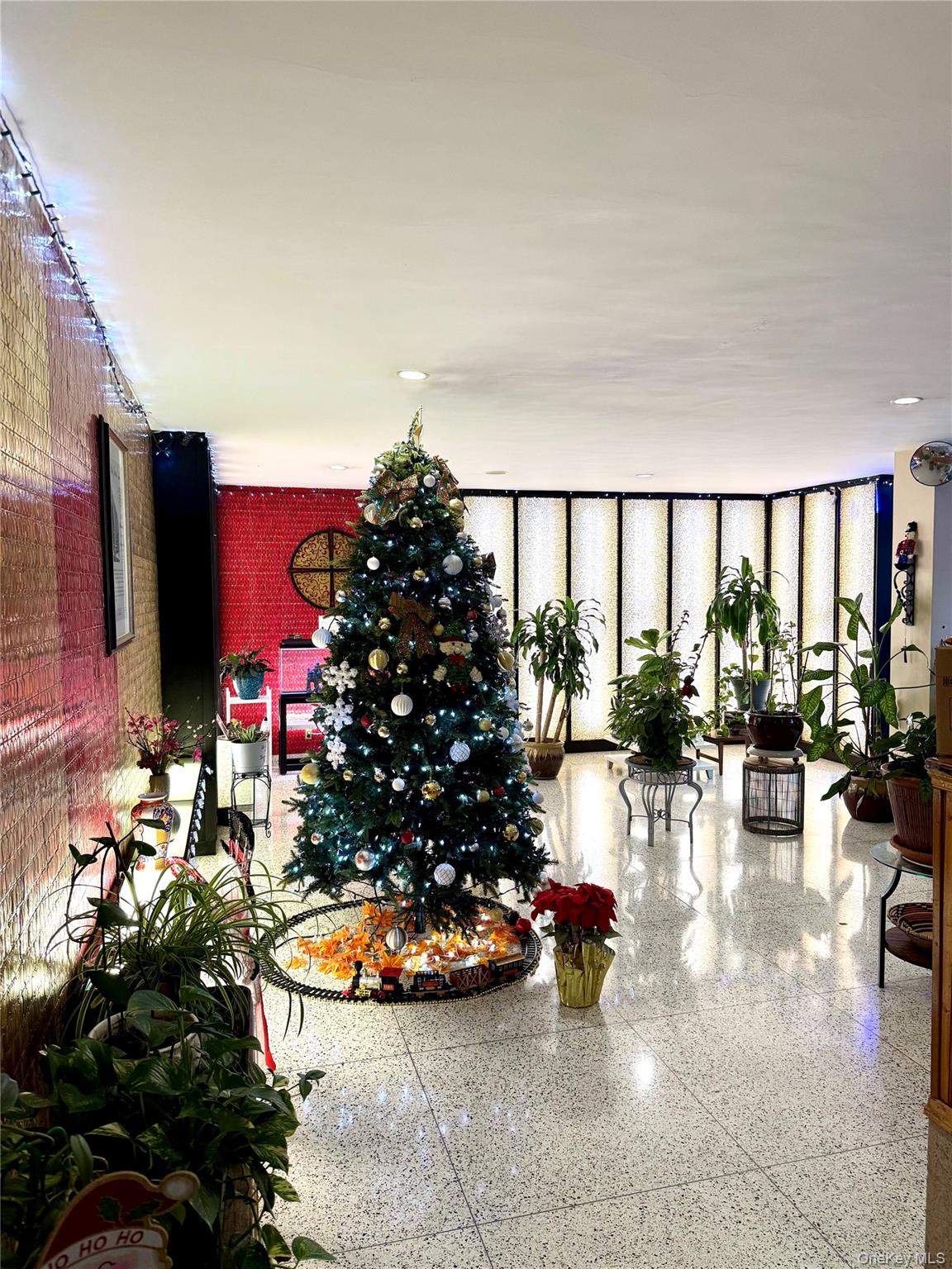 89-15 Parsons Boulevard 9-C Jamaica Jamaica, NY 11432