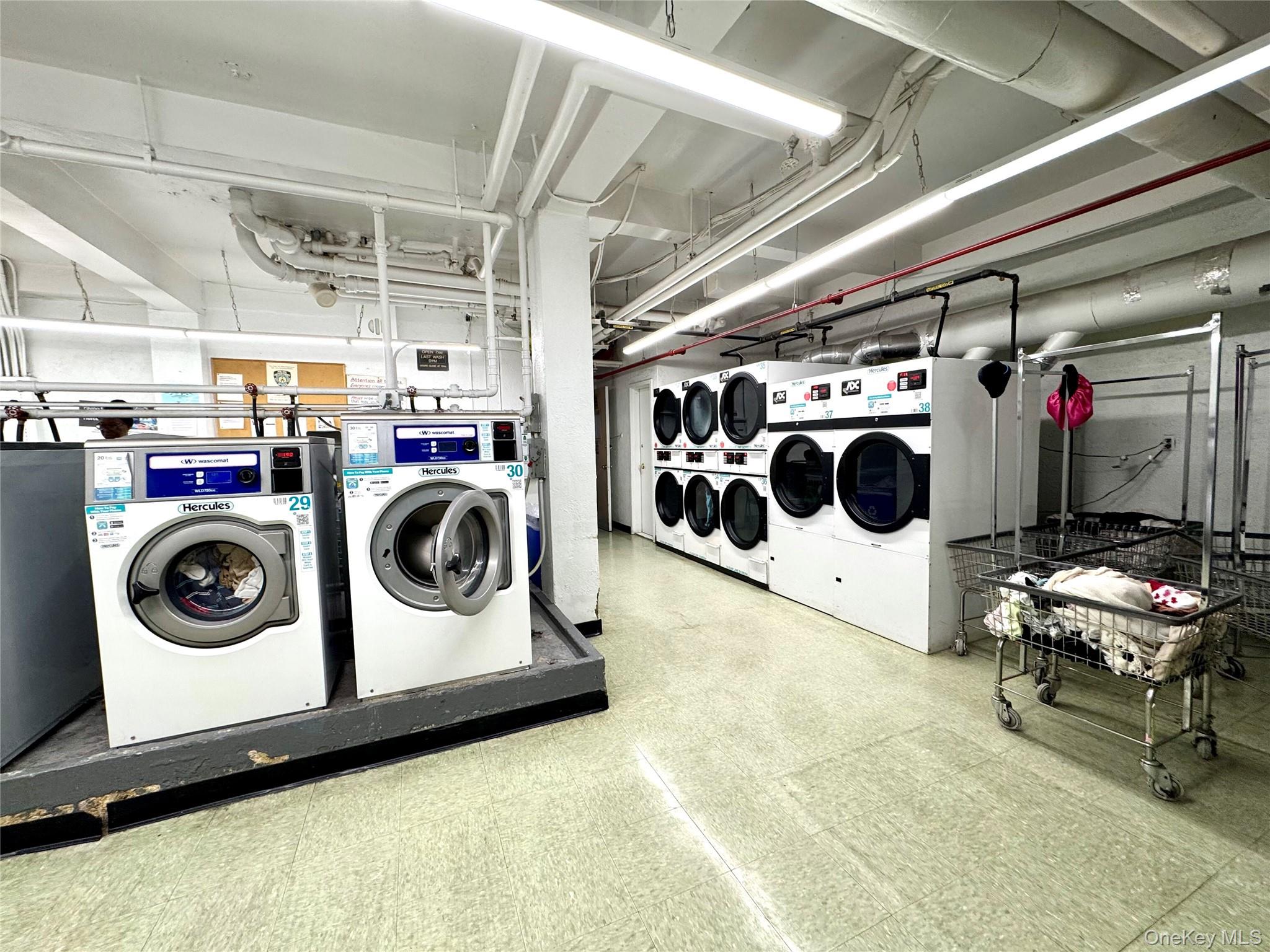 89-15 Parsons Boulevard 9-C Jamaica Jamaica, NY 11432