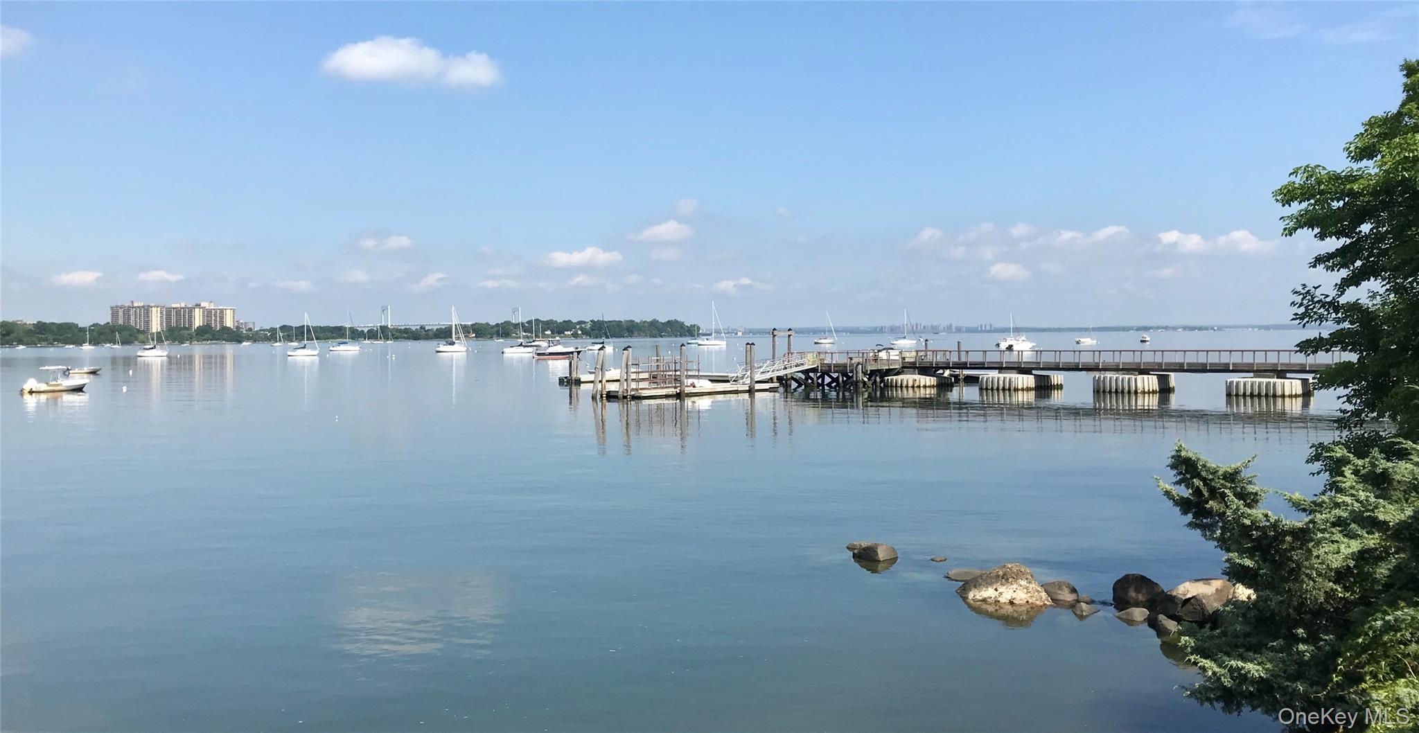 29 Center Drive Douglaston Douglaston, NY 11363