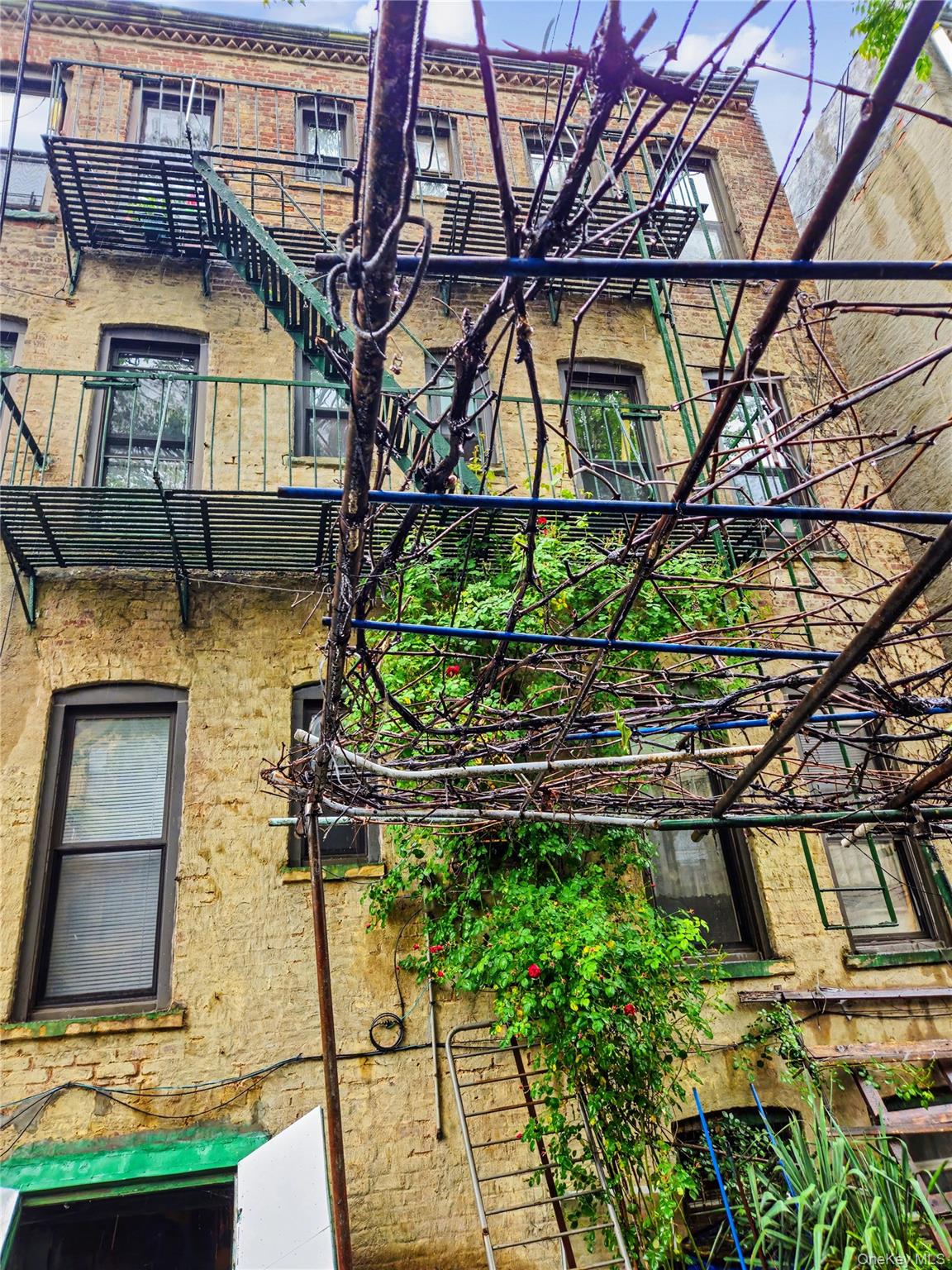 1722 Putnam Avenue Ridgewood Ridgewood, NY 11385