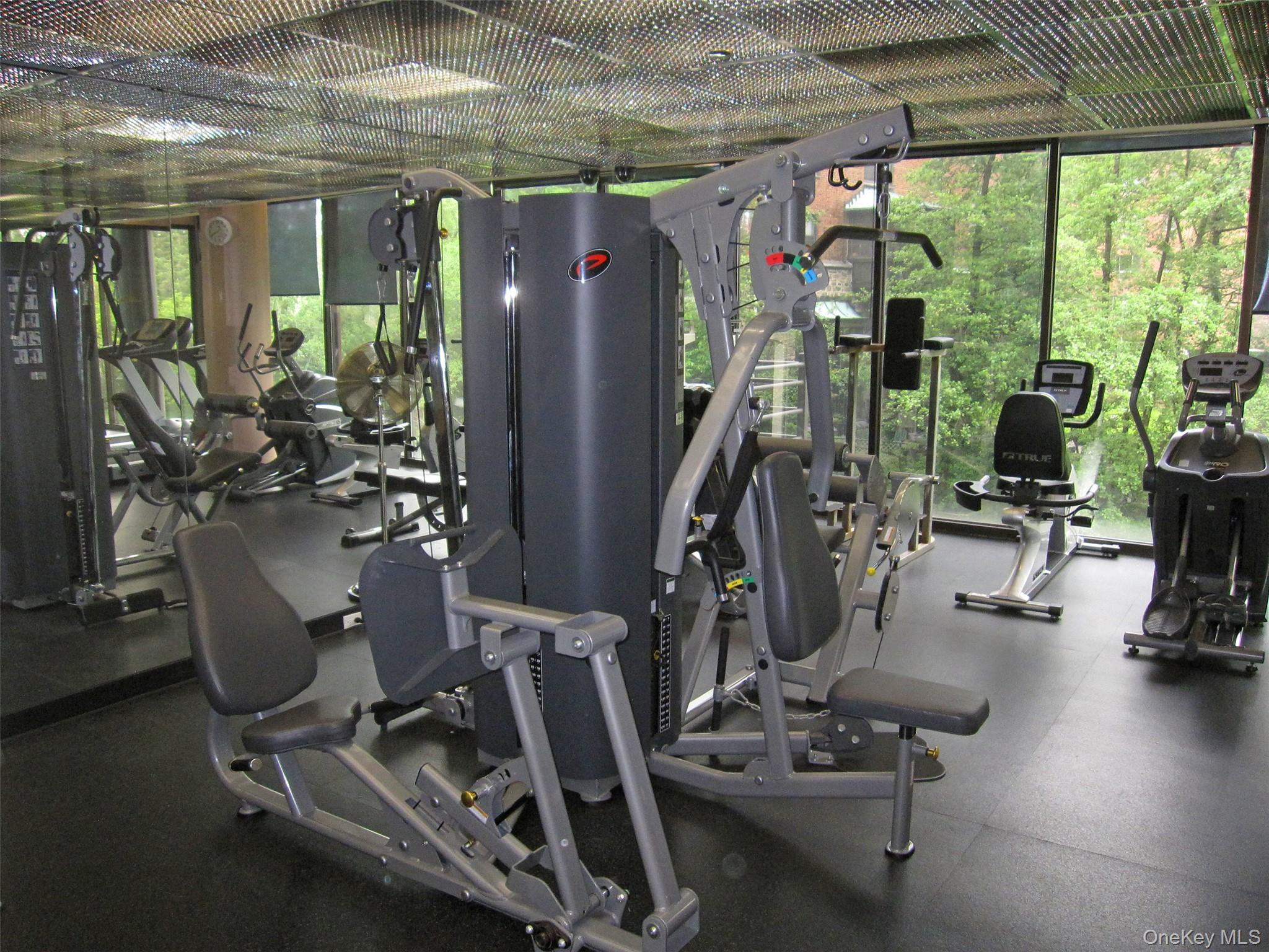 50 East Hartsdale Avenue E 6-O Hartsdale Hartsdale, NY 10530