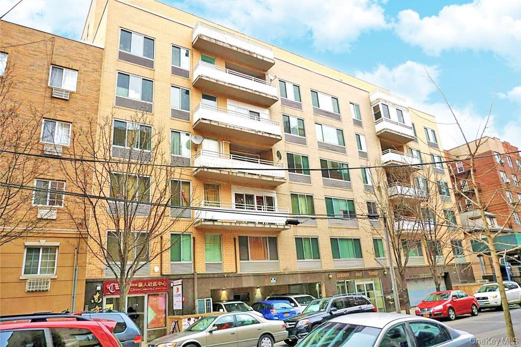 4317 Union Street 6-E Flushing Flushing, NY 11355