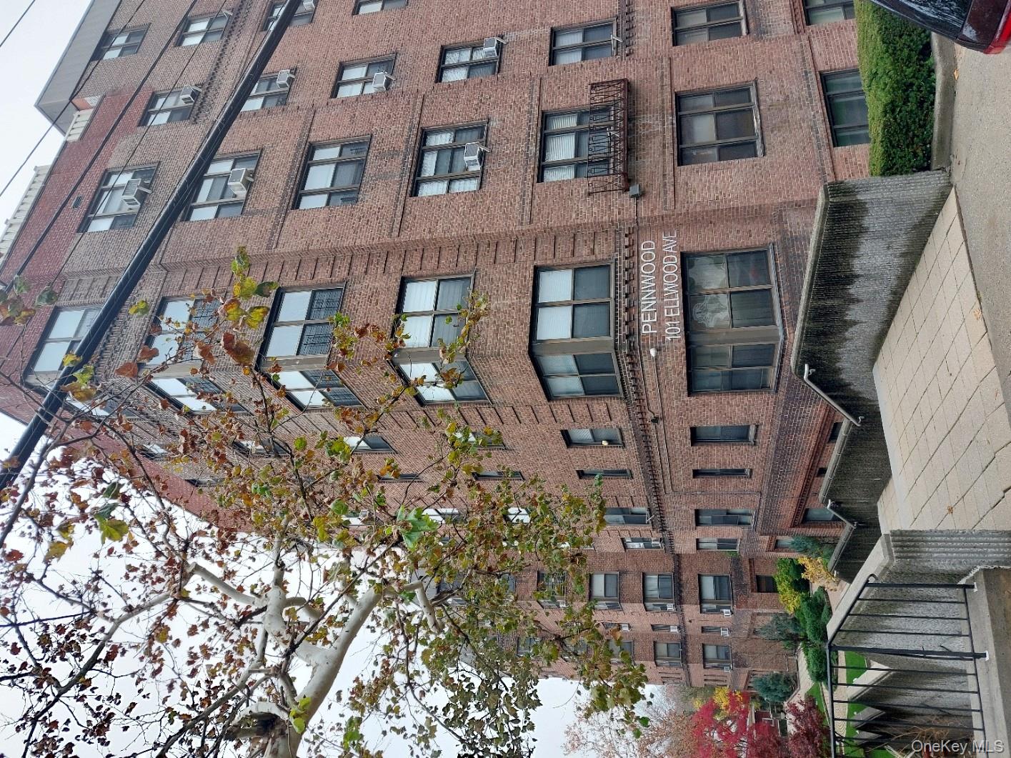 101 Ellwood Avenue 6-H Mount Vernon Mount Vernon, NY 10552