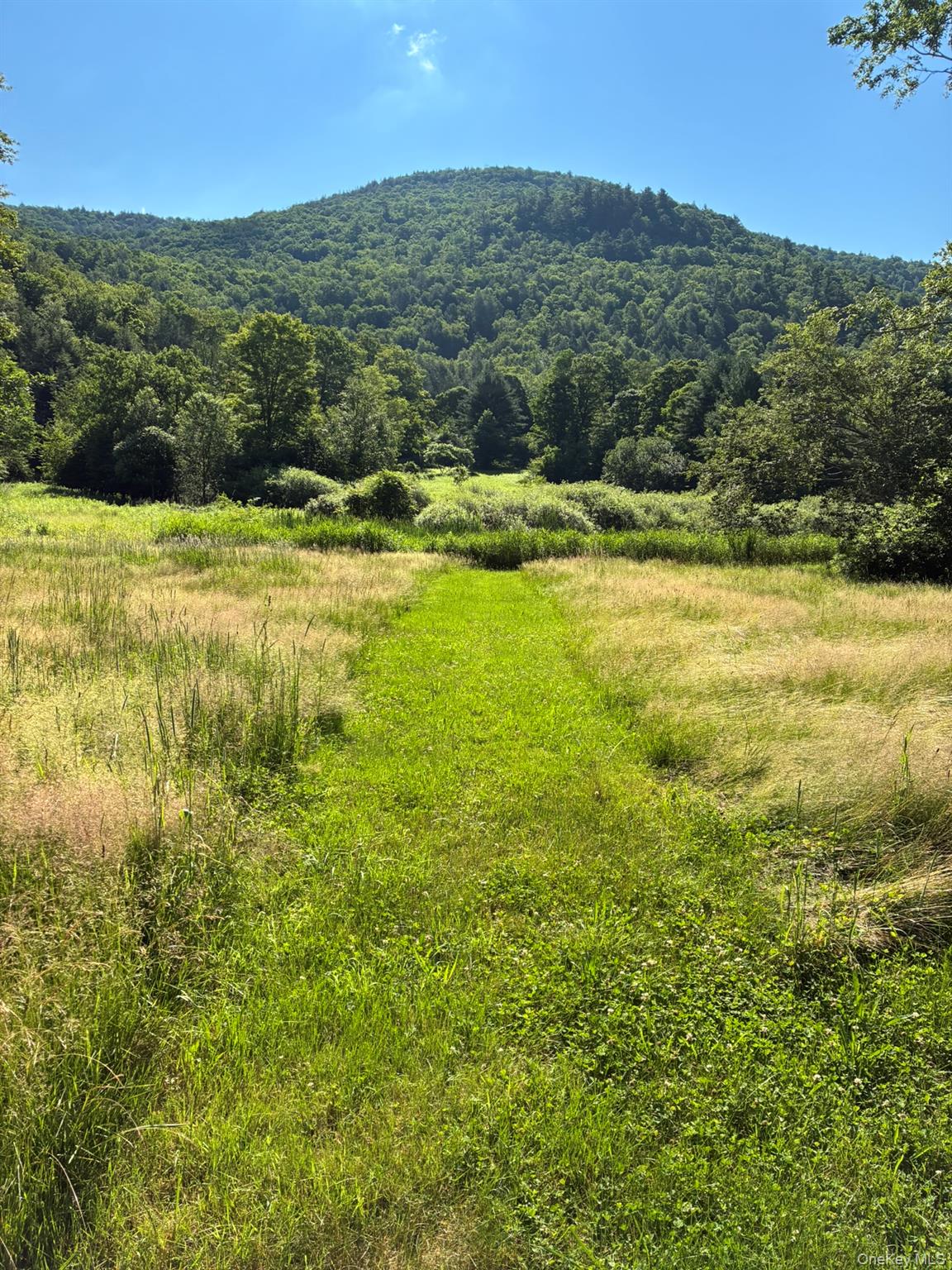 1140 Harvard Road Out of NYC East Branch, NY 13756