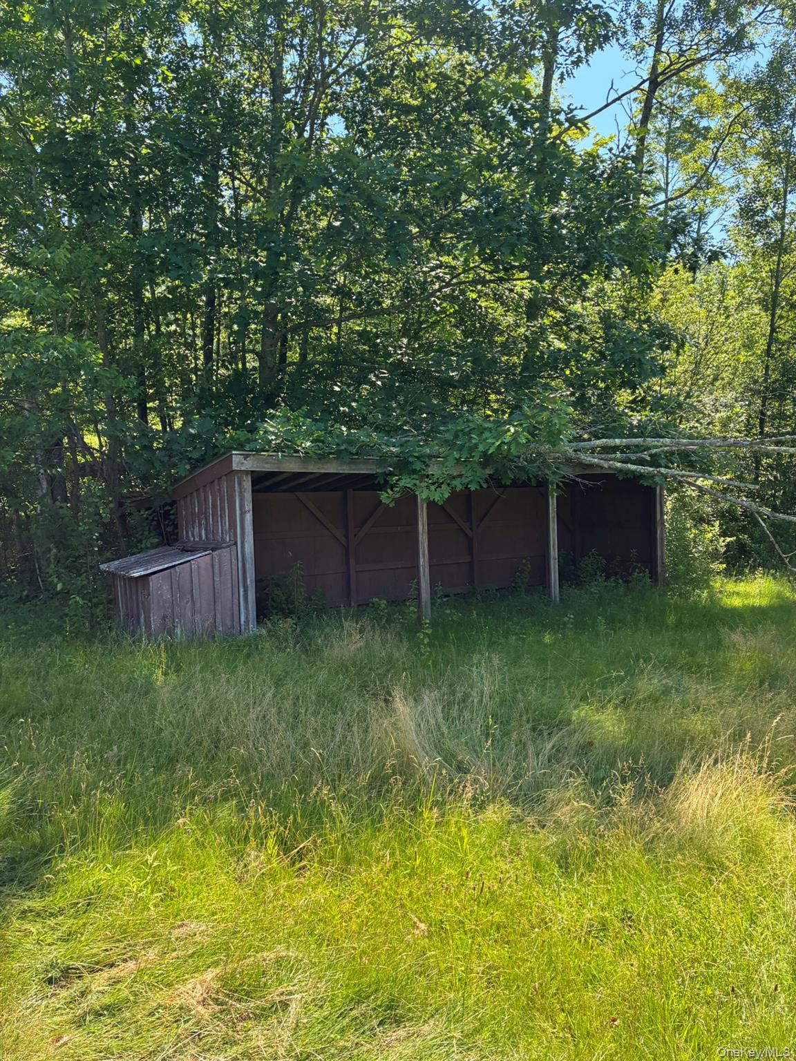 1140 Harvard Road Out of NYC East Branch, NY 13756