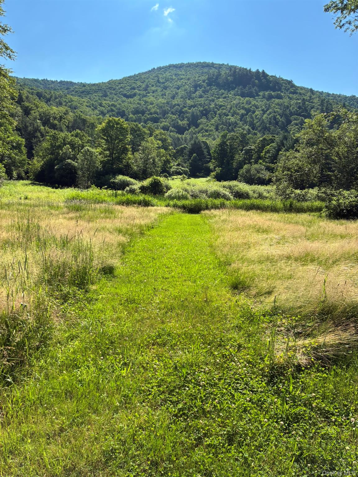 1140 Harvard Road Out of NYC East Branch, NY 13756