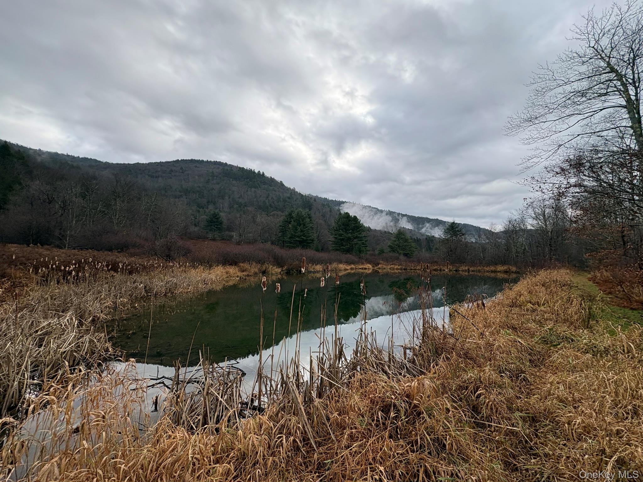 1140 Harvard Road Out of NYC East Branch, NY 13756